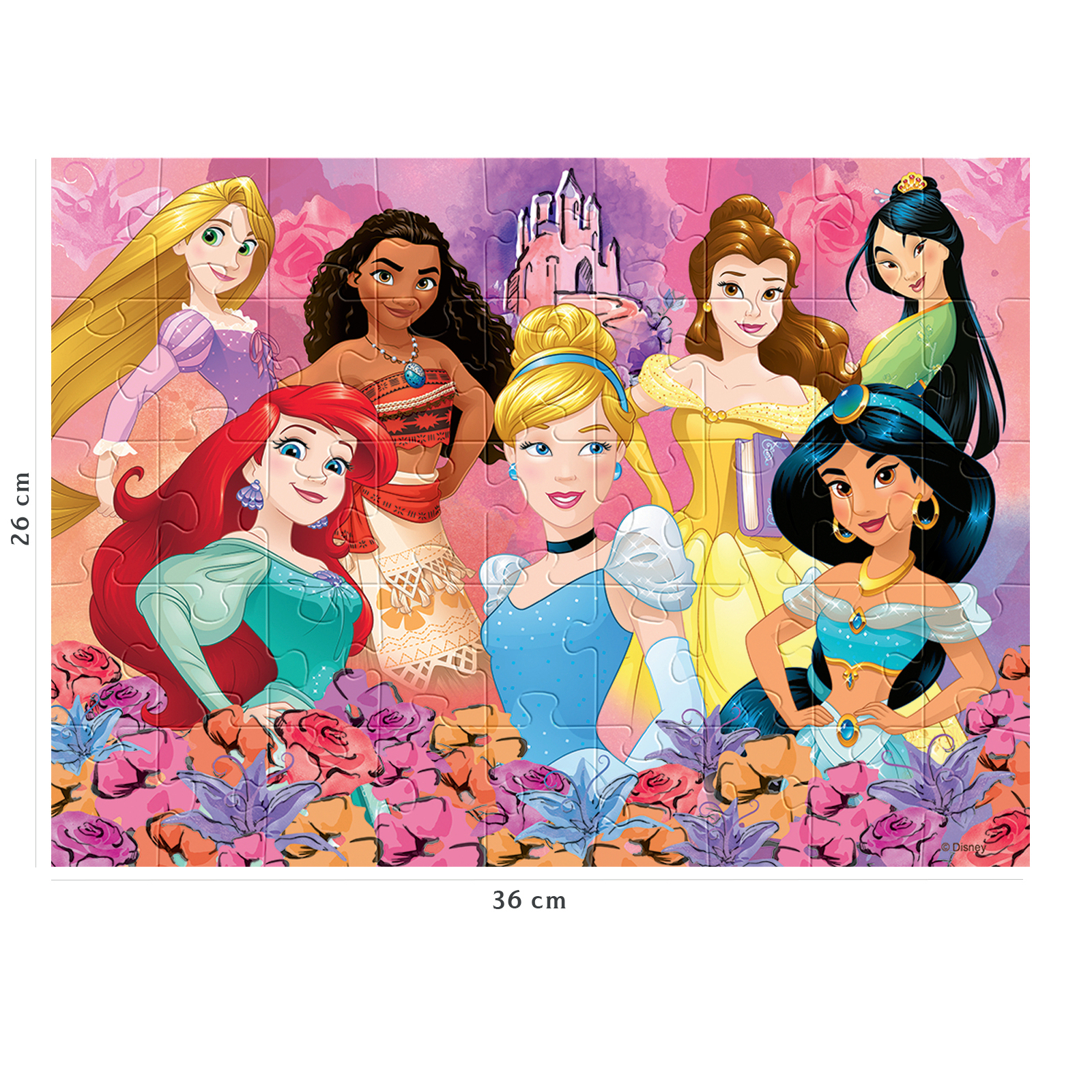 Prinzessinnen-Puzzle mit Rapunzel, Moana, Arielle, Cinderella, Belle, Jasmin.