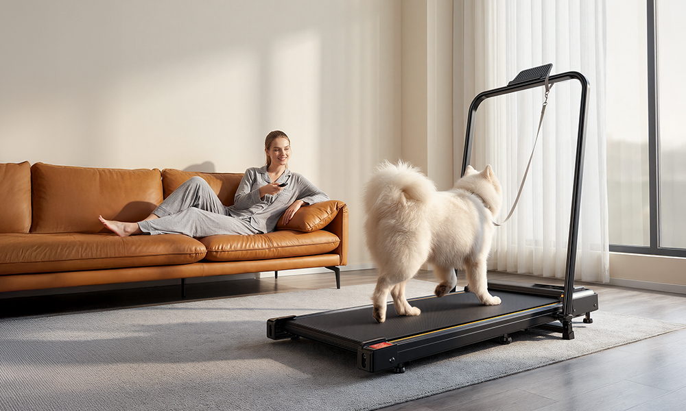 Eine Frau liegt auf einem braunen Sofa, während ein Hund auf einem Laufband läuft.