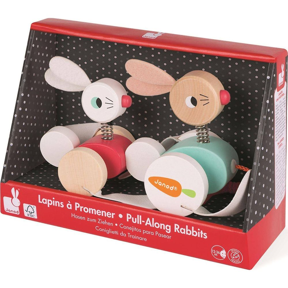 Zwei hölzerne Hasen-Spielzeuge mit Federn in einer Box mit Karottenmotiv.