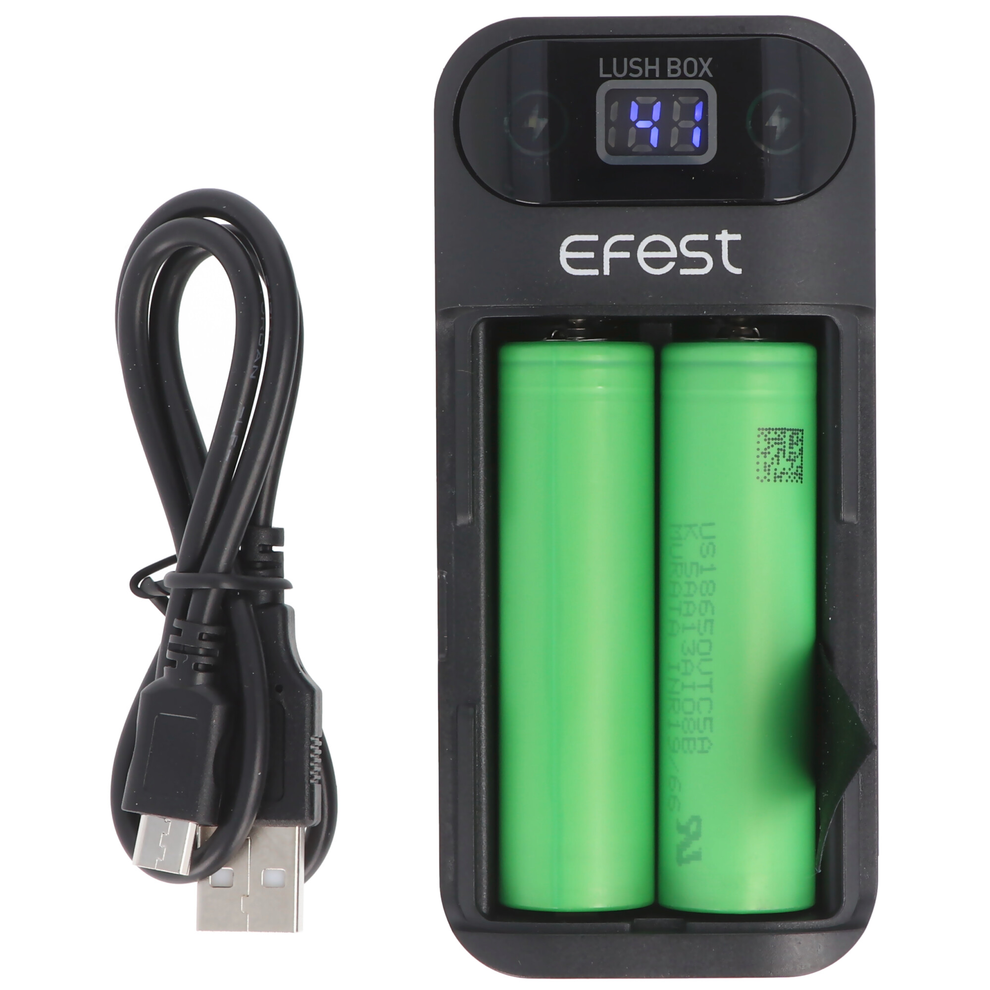 Ein schwarzes Efest Ladegerät mit zwei grünen Batterien und einem USB-Kabel.