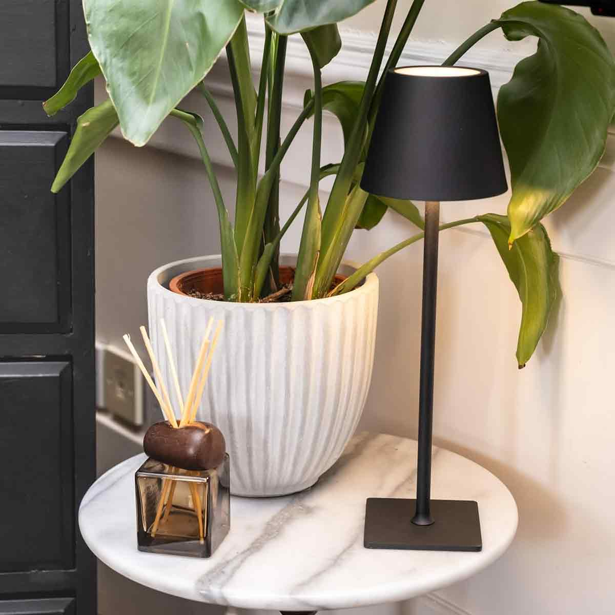 Ein schwarzer Tischlampen-Ständer mit einem Lampenschirm steht neben einer Topfpflanze.