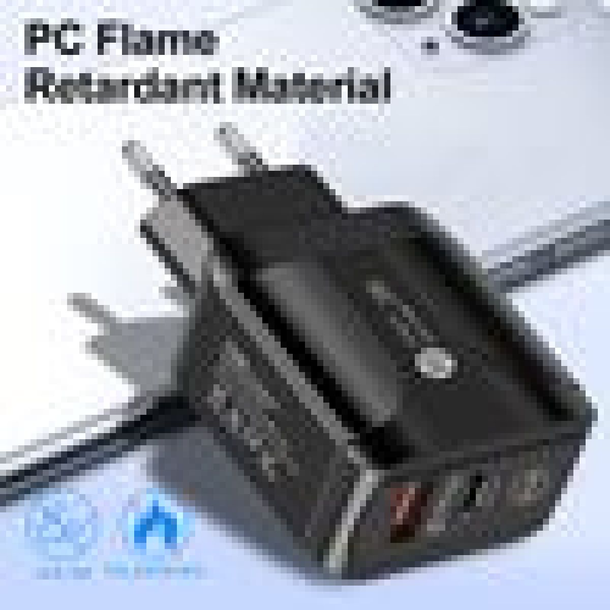 Schwarzer Netzsteckeradapter mit zwei USB-Anschlüssen und zwei Stiften.