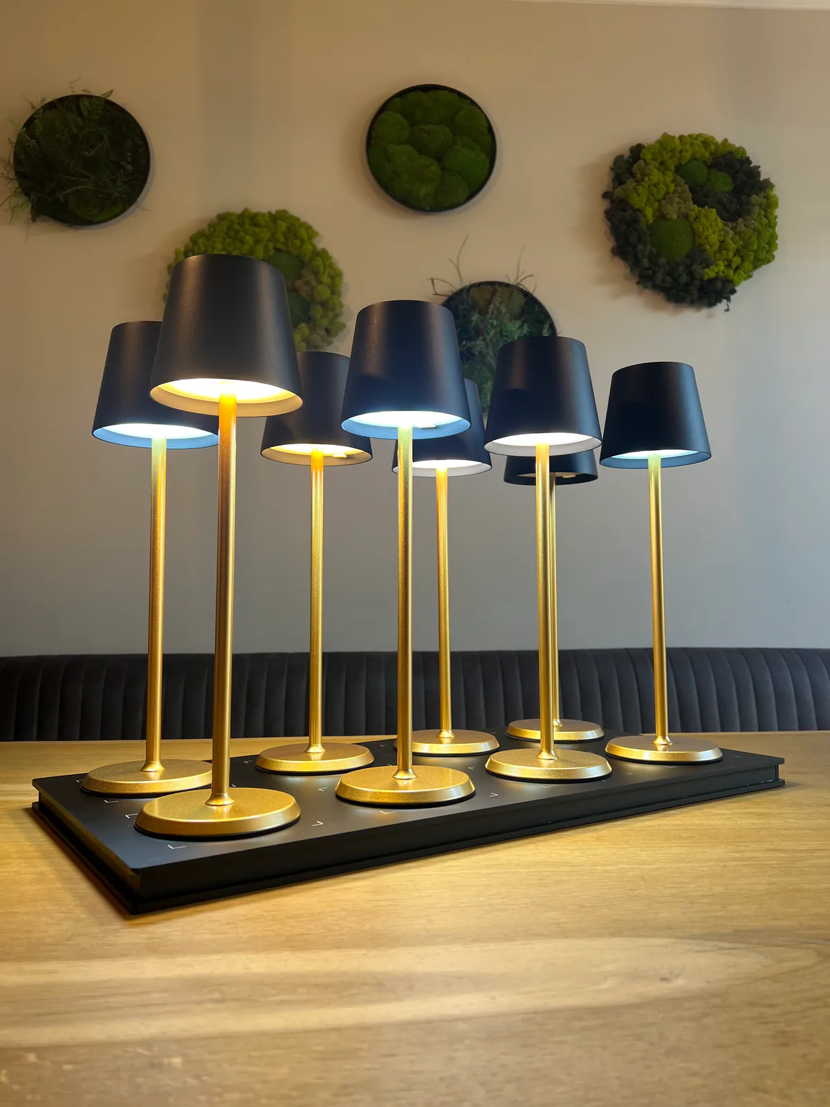 Sieben goldene Lampen mit schwarzen Schirmen stehen auf einem schwarzen Tablett.