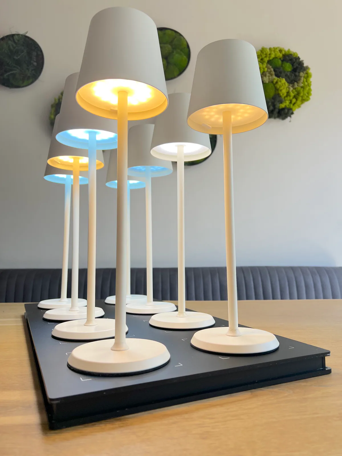 Mehrere weiße Lampen mit warmem und blauem Licht auf einem schwarzen Ladegerät.