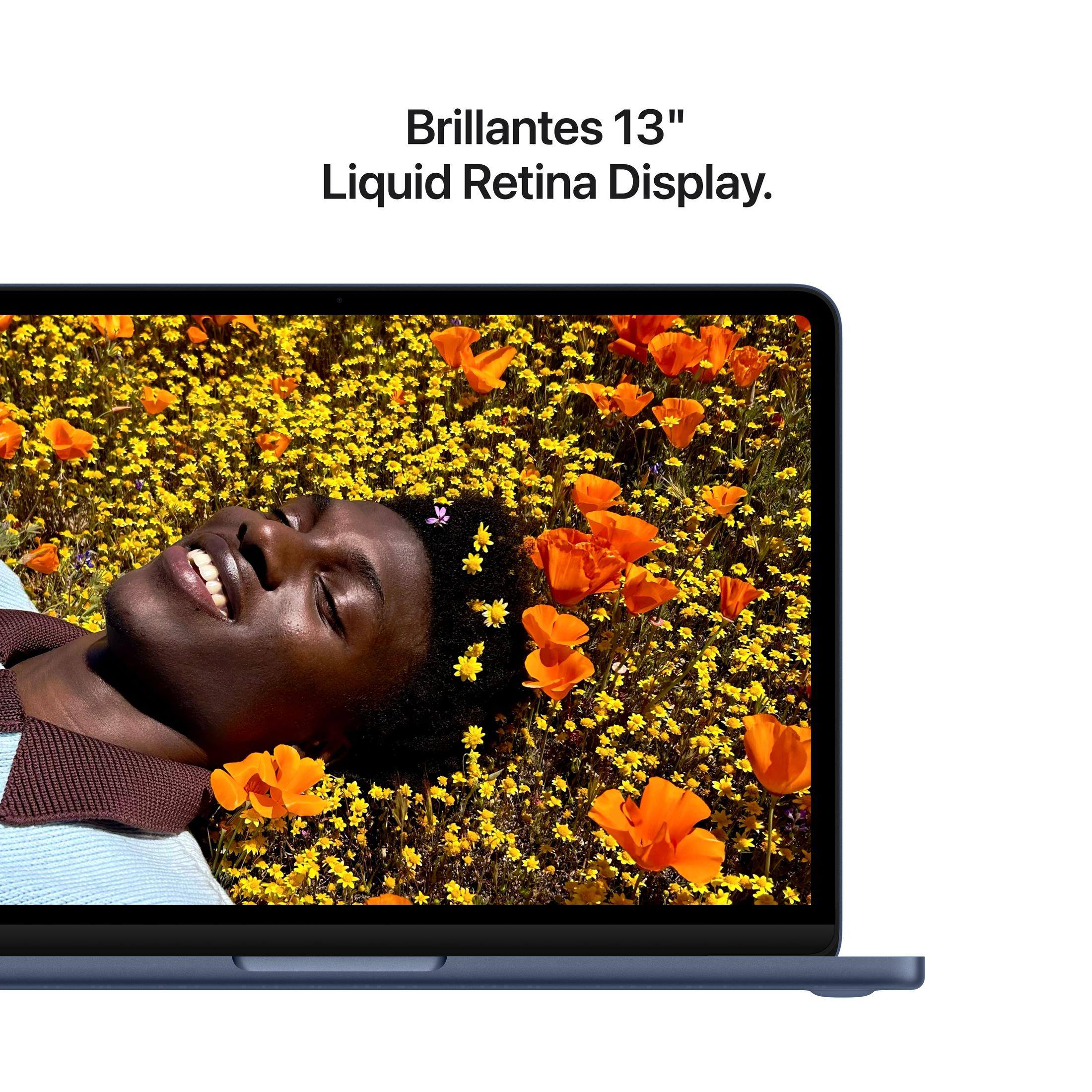 Ein Mann liegt in einem Feld aus gelben und orangen Blumen, mit einem Laptop im Vordergrund.