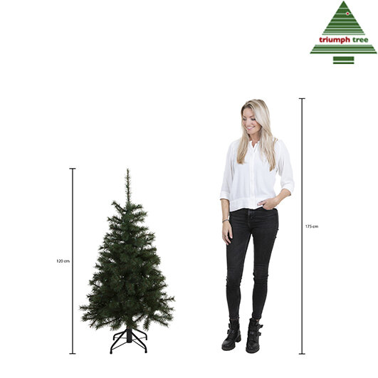 A woman stands next to a 120cm tall Christmas tree.