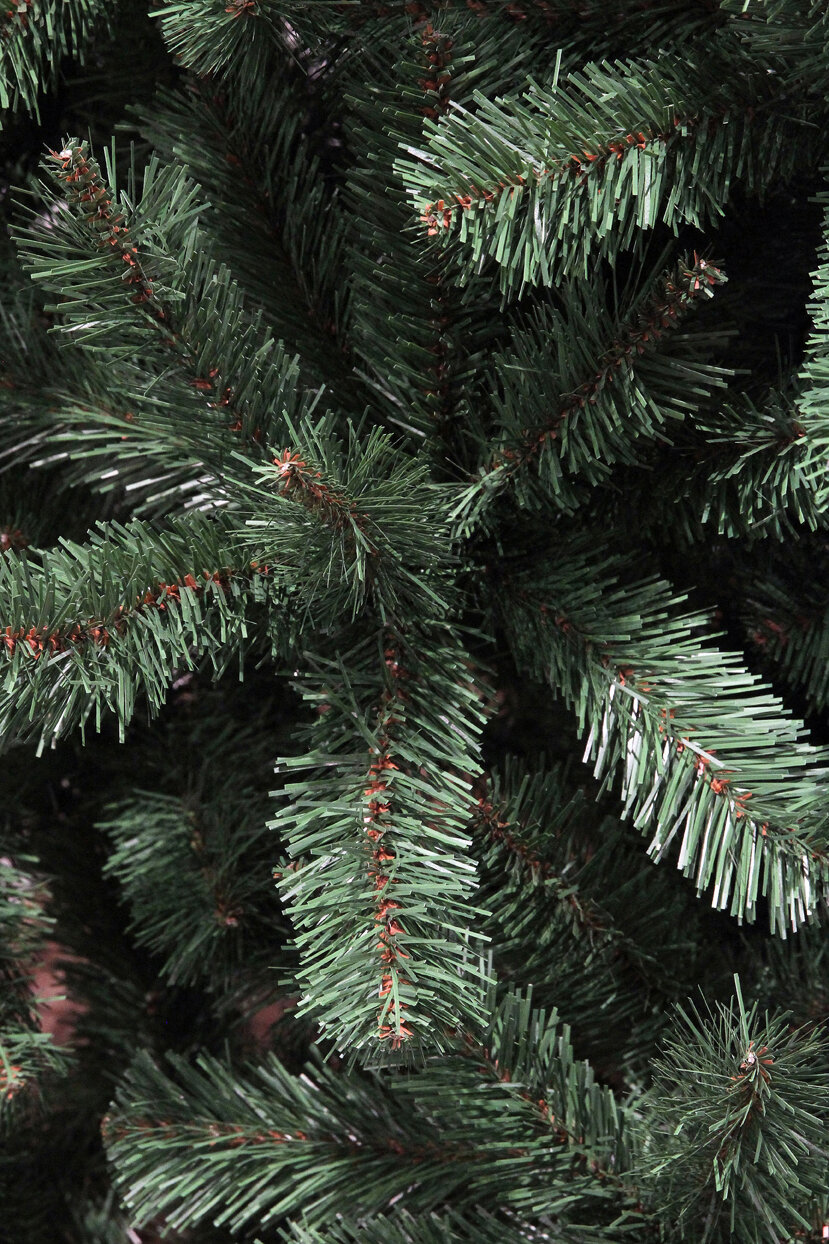 Close-up of green pine needles with brown stems.