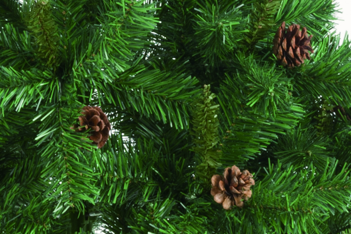 Close-up of pine branches with pinecones.