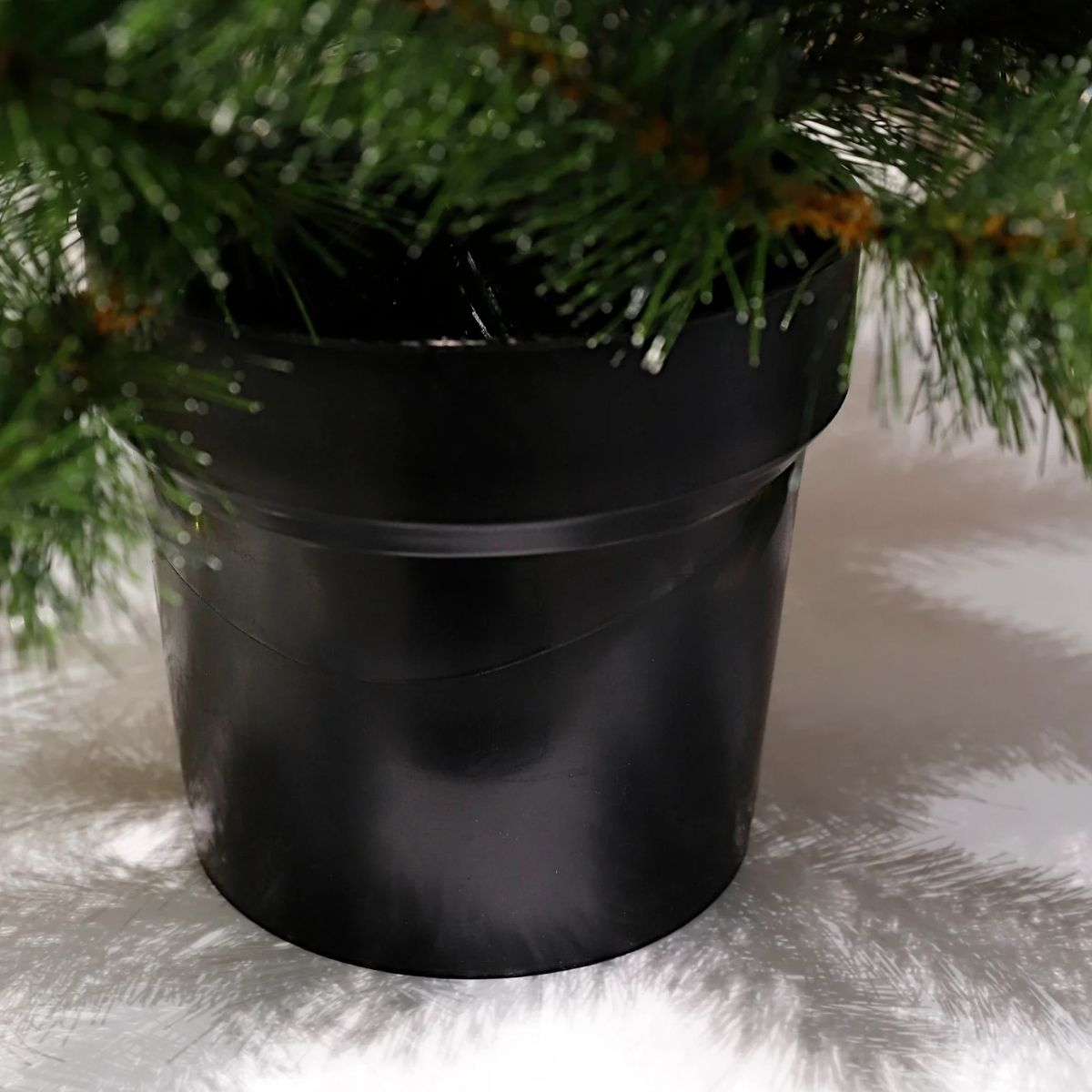 Close-up of a black pot with green pine branches and shadows.