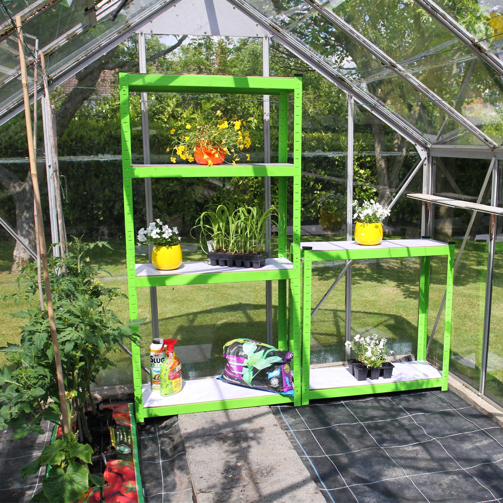 Un invernadero con estantes verdes, plantas y suministros de jardinería.