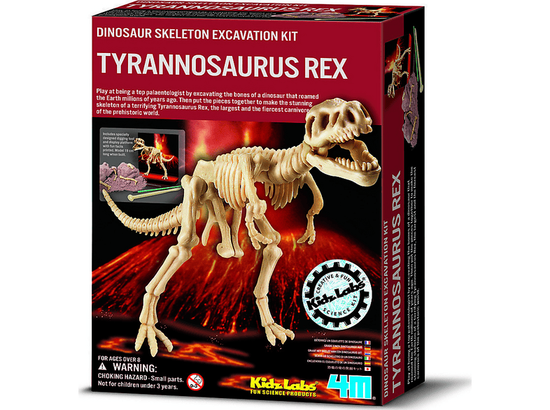 4M Fun Science Scava Un Fossile T-Rex Lernspielzeuge, X | MediaMarkt
