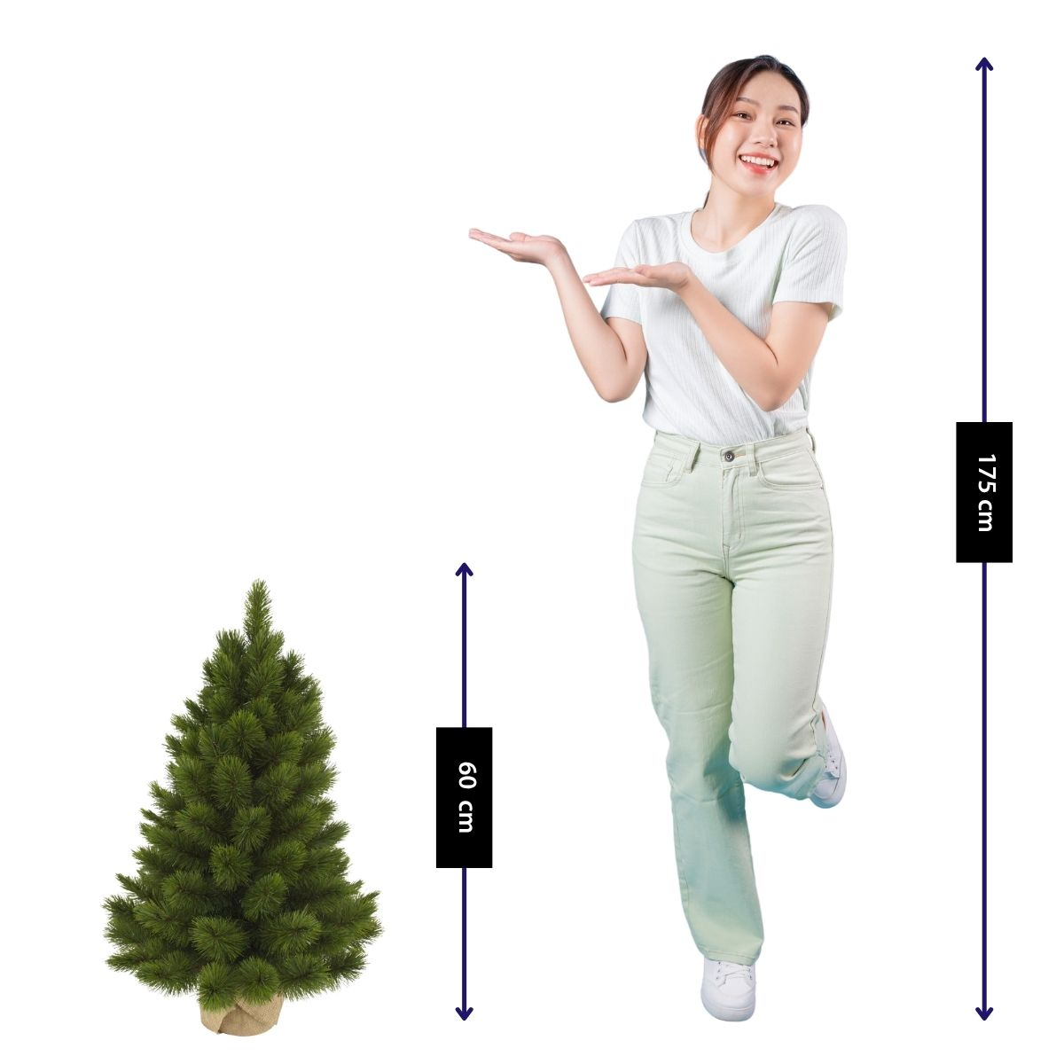 Une femme à côté d'un arbre de 60cm. Elle mesure 175cm.