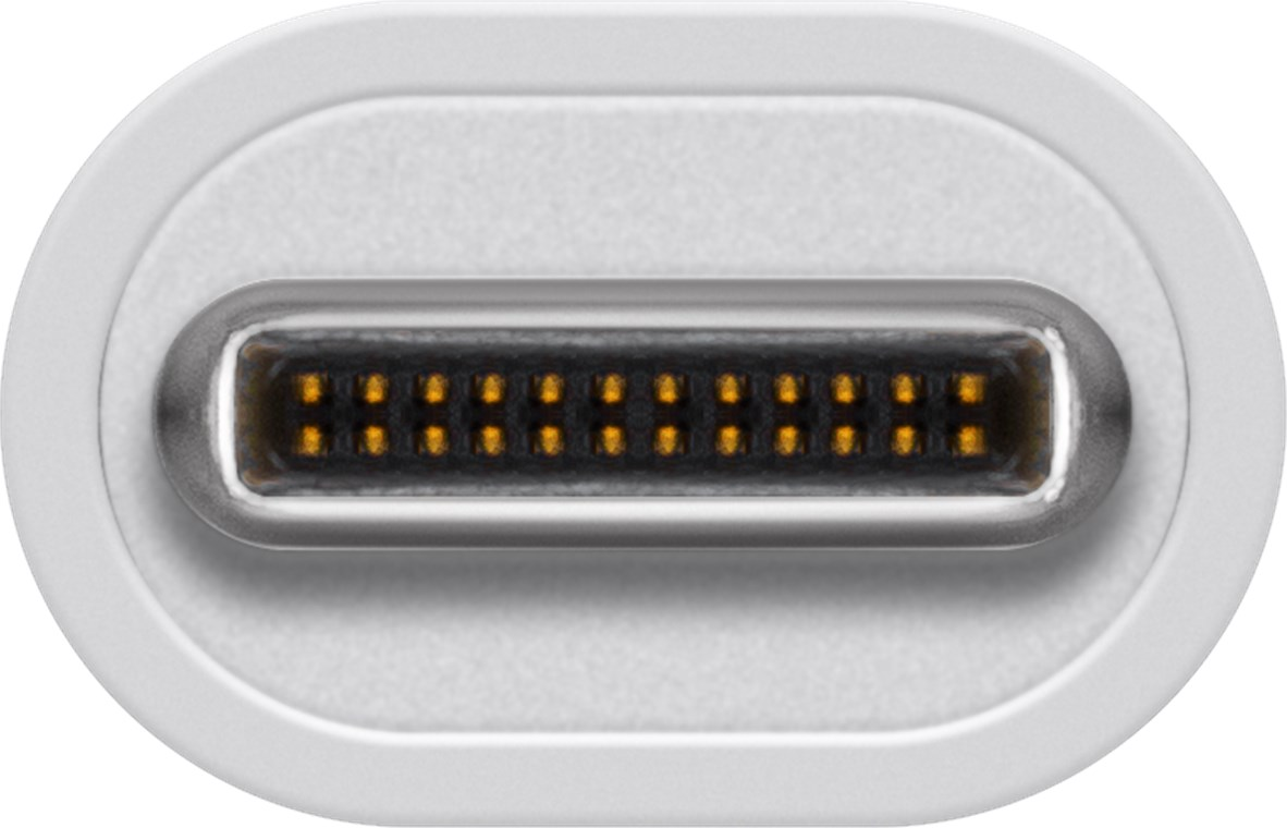 Primo piano di un connettore USB-C bianco con numerosi pin dorati.