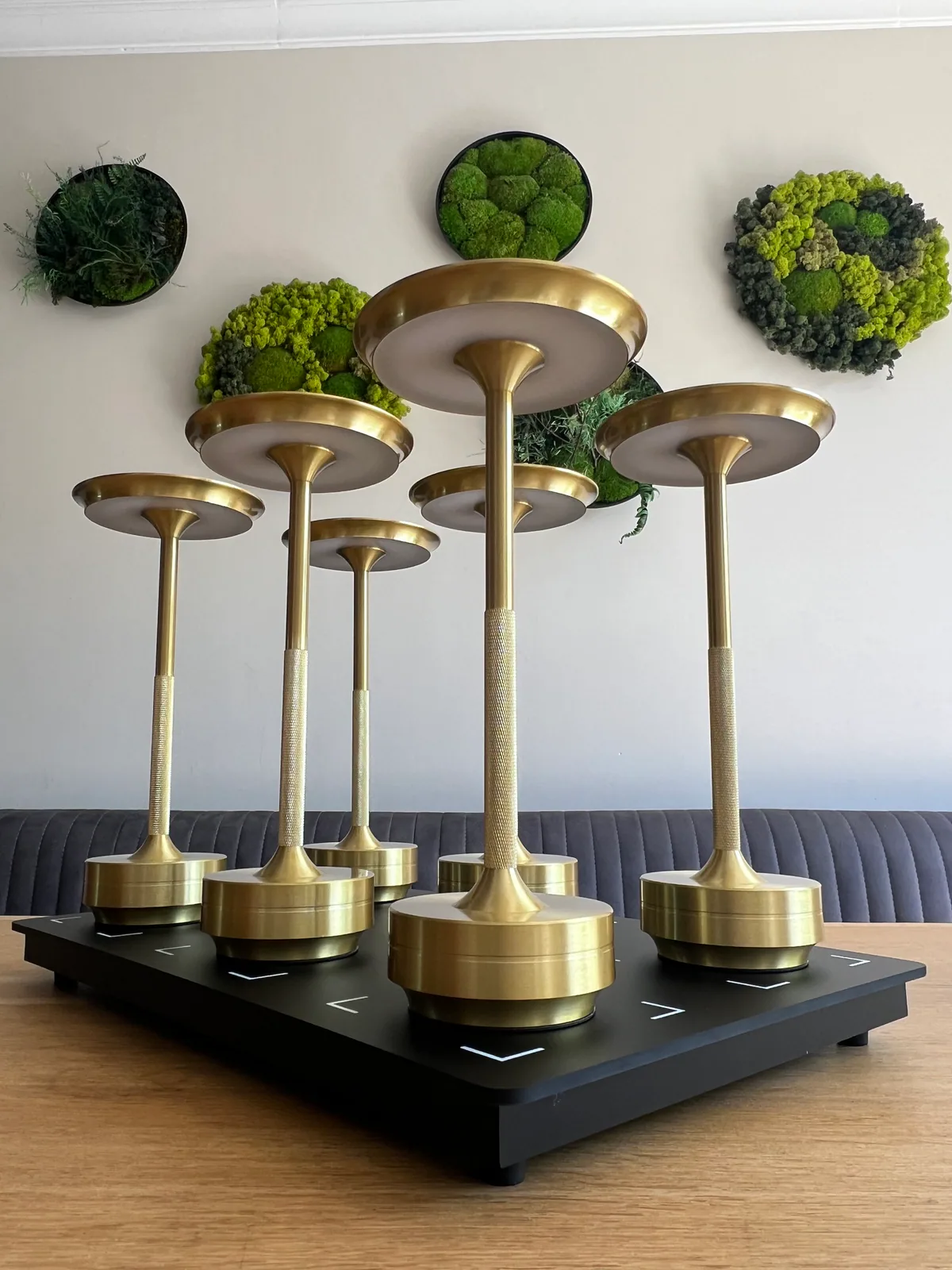 Sechs goldene Lampen stehen auf einer schwarzen Basis vor Wanddekorationen aus Moos.