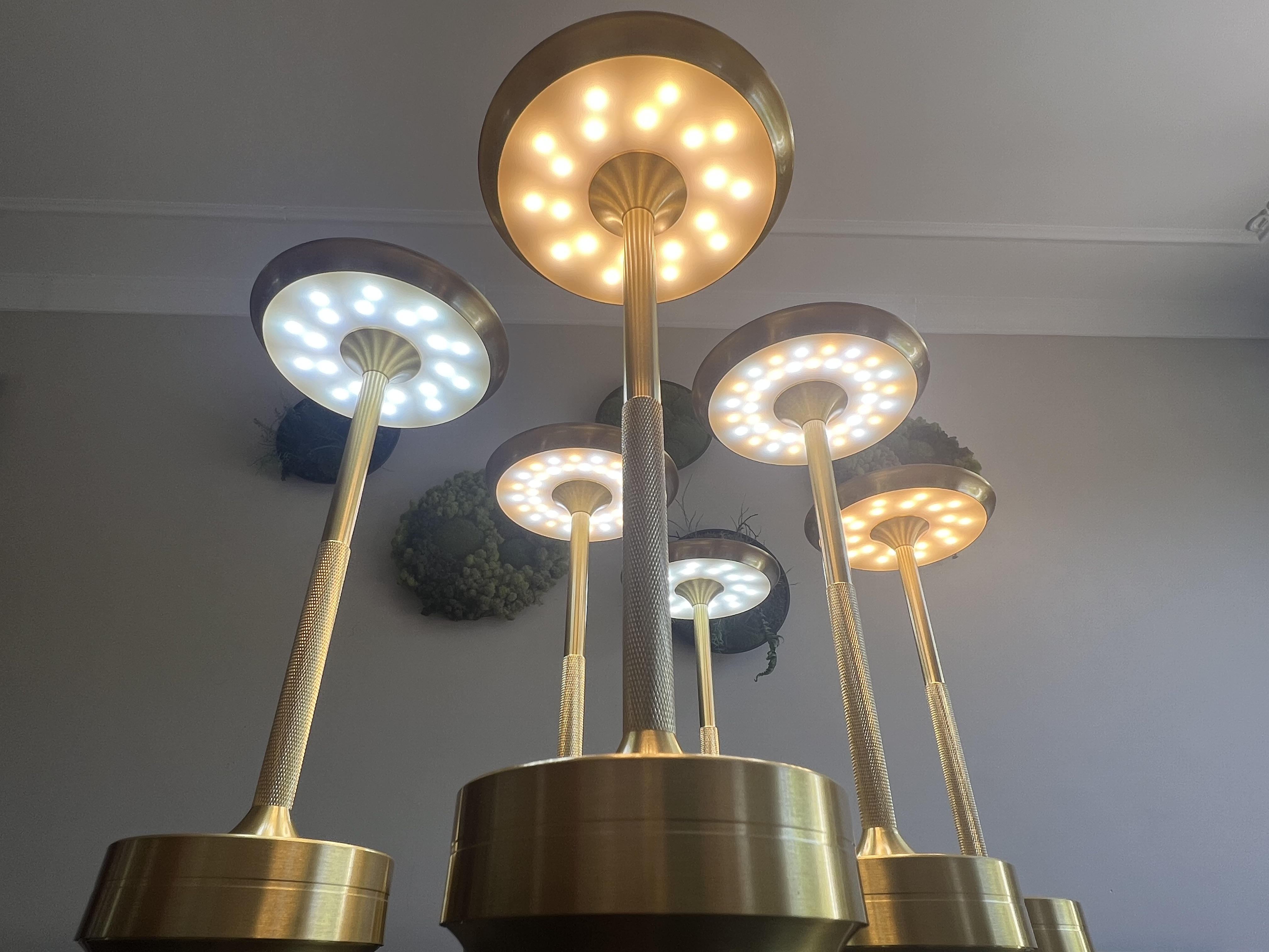 Mehrere goldene Lampen mit LED-Licht und grünen Wanddekorationen.