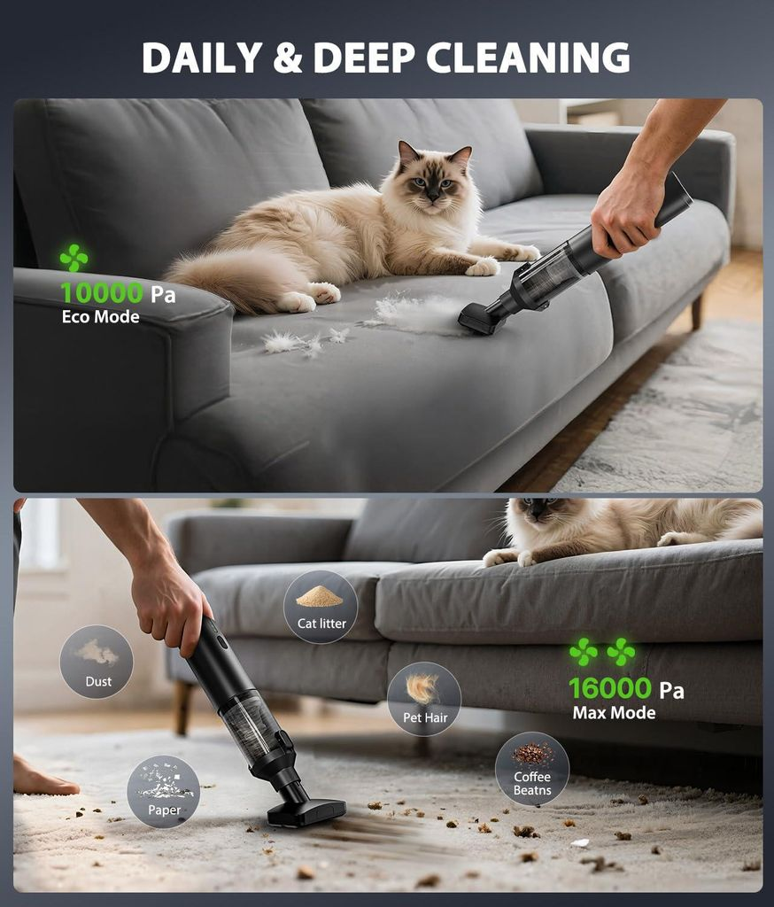 Ein Mann benutzt einen Staubsauger, um einen grauen Stoff zu reinigen. Oben: Katze auf Sofa. Unten: Schmutz.