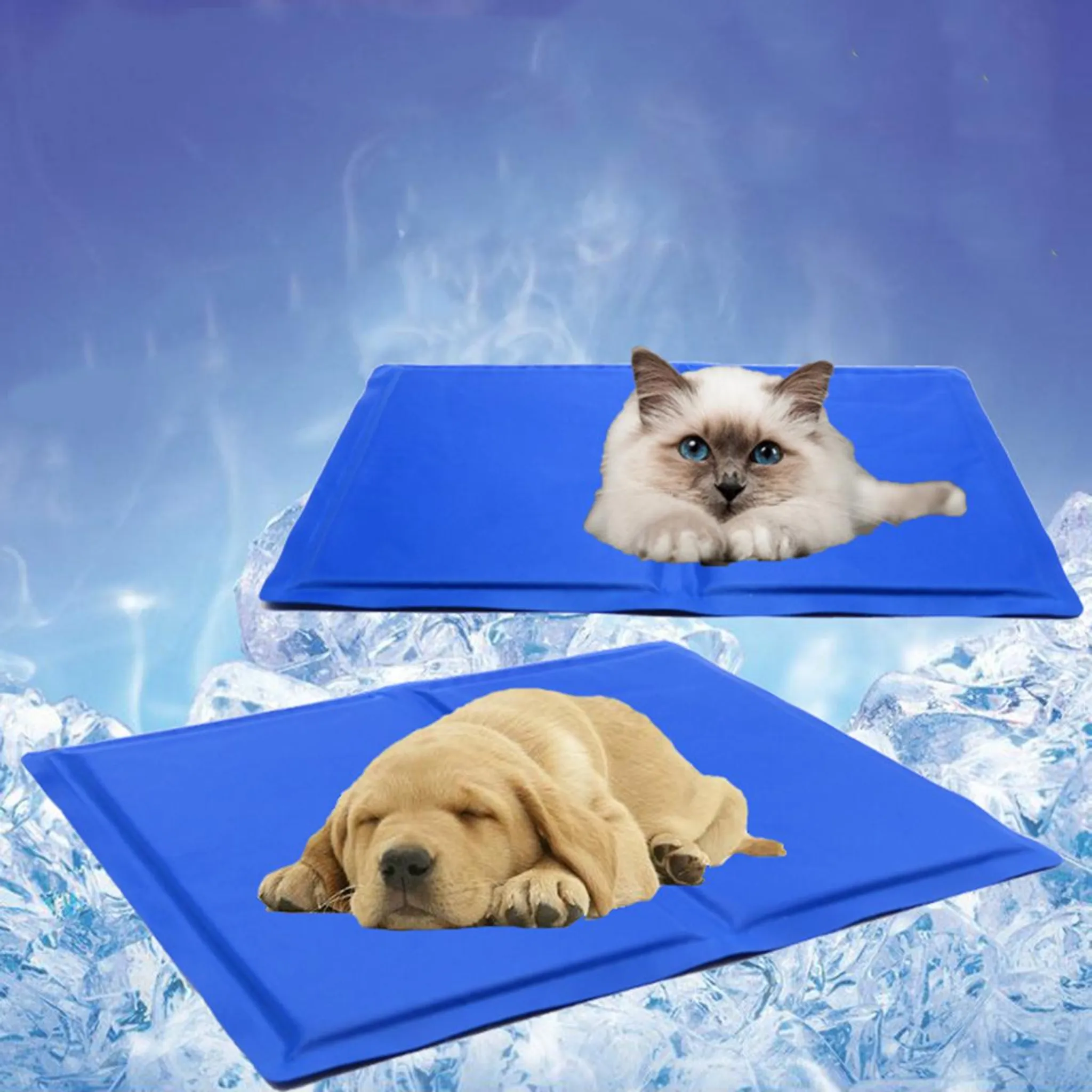 Ein Hund und eine Katze liegen auf blauen Kühlmatten, umgeben von Eis.
