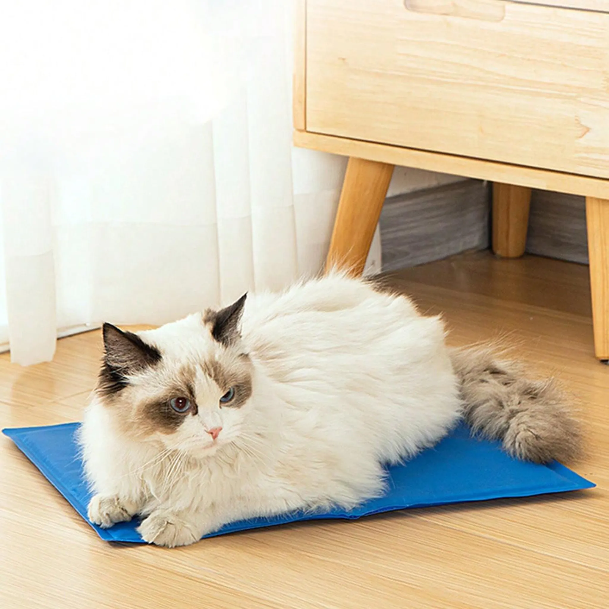 Eine Katze liegt auf einer blauen Kühlmatte auf einem Holzboden.