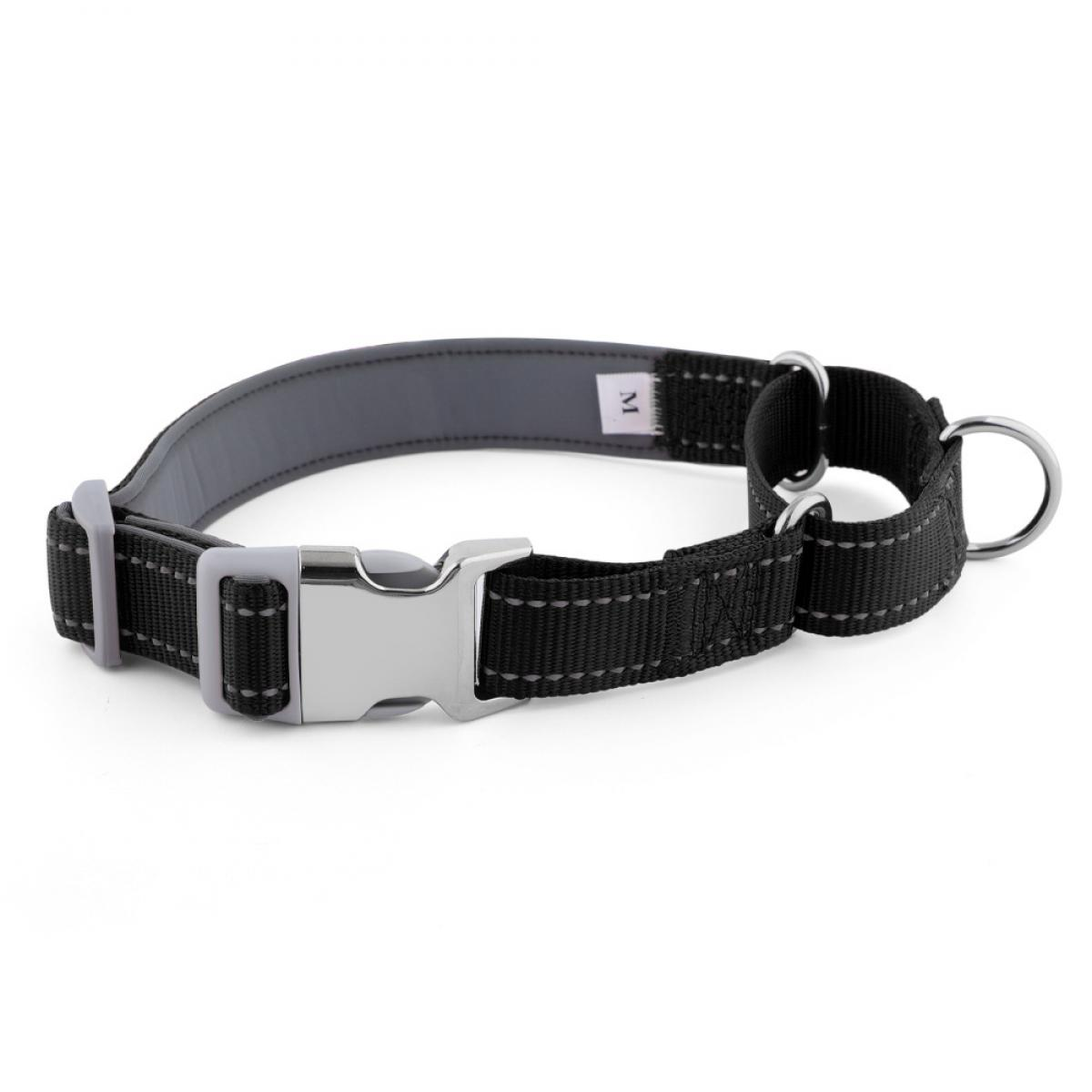 Ein schwarzer Hundehalsband mit silberner Schnalle und D-Ring.