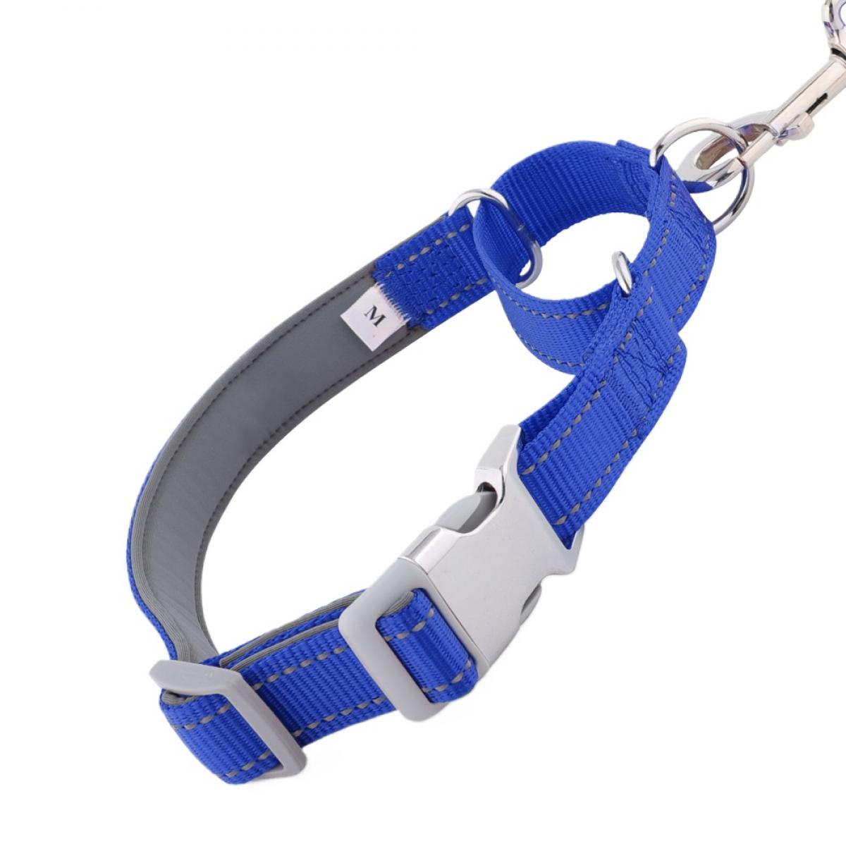Ein blaues Hundehalsband mit silberner Schnalle und M-Größenetikett. Weißer Hintergrund.