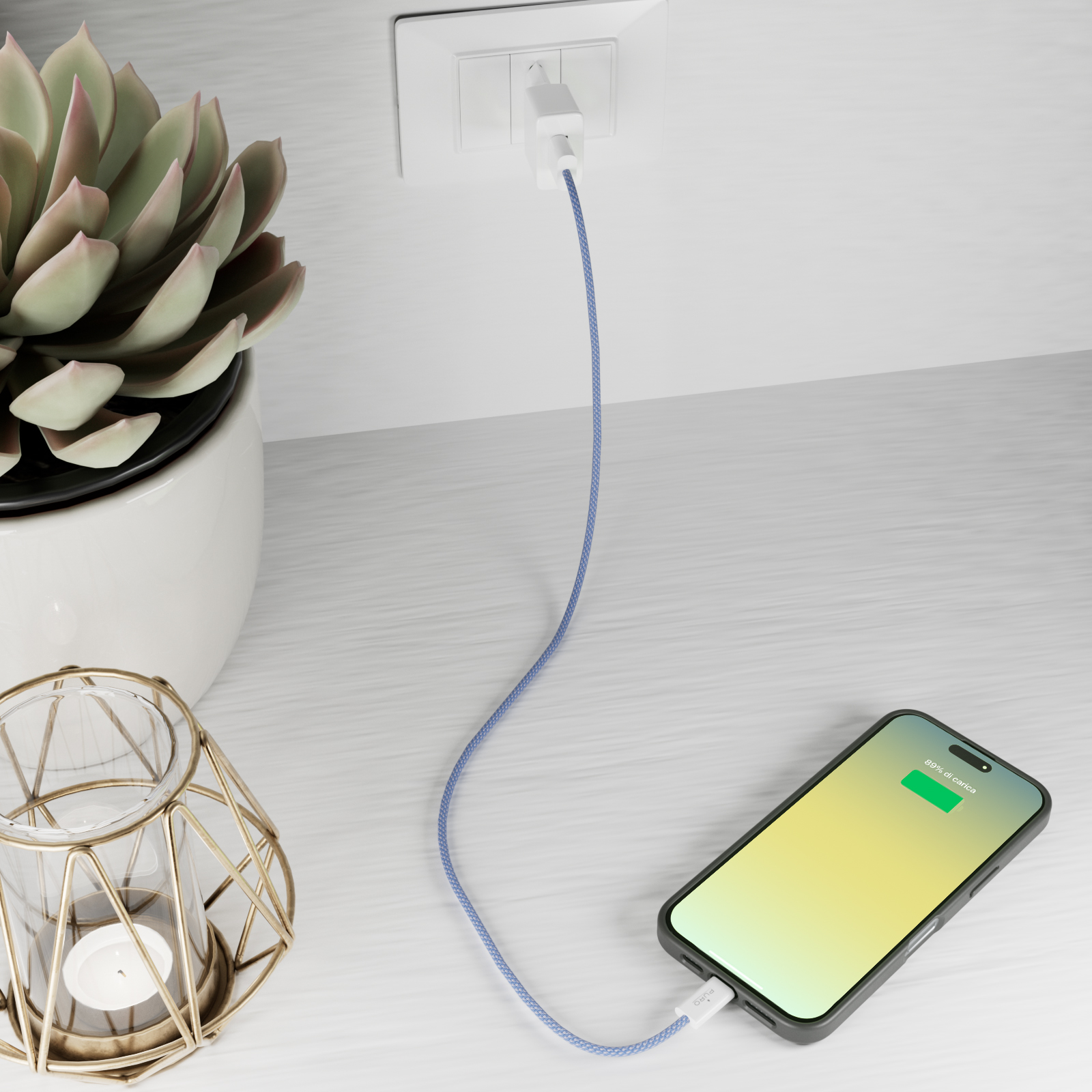 Telefono in carica tramite adattatore collegato alla presa a muro, vicino a pianta succulenta.