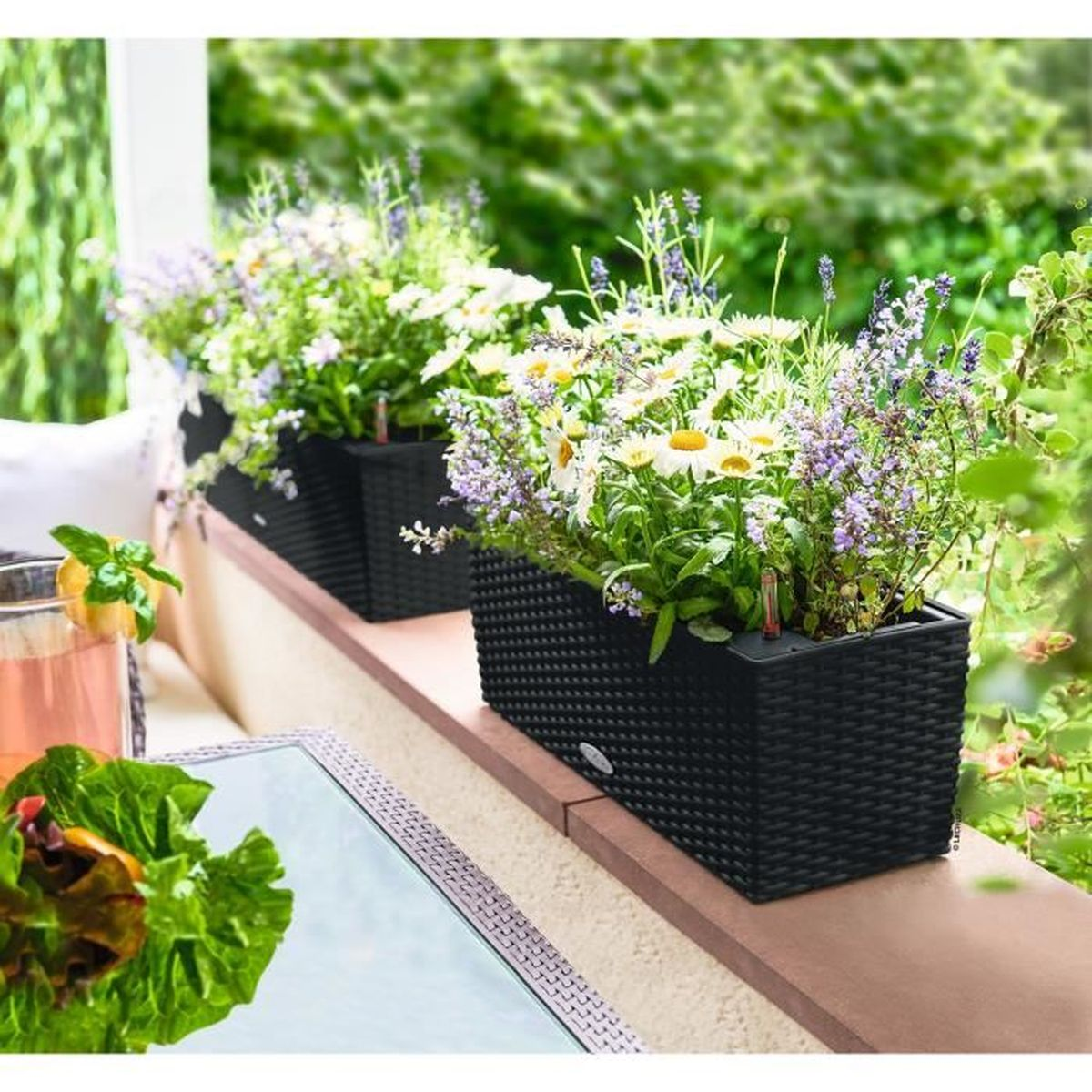 Zwei schwarze Pflanzgefäße mit weißen und lila Blumen auf einer Terrasse.