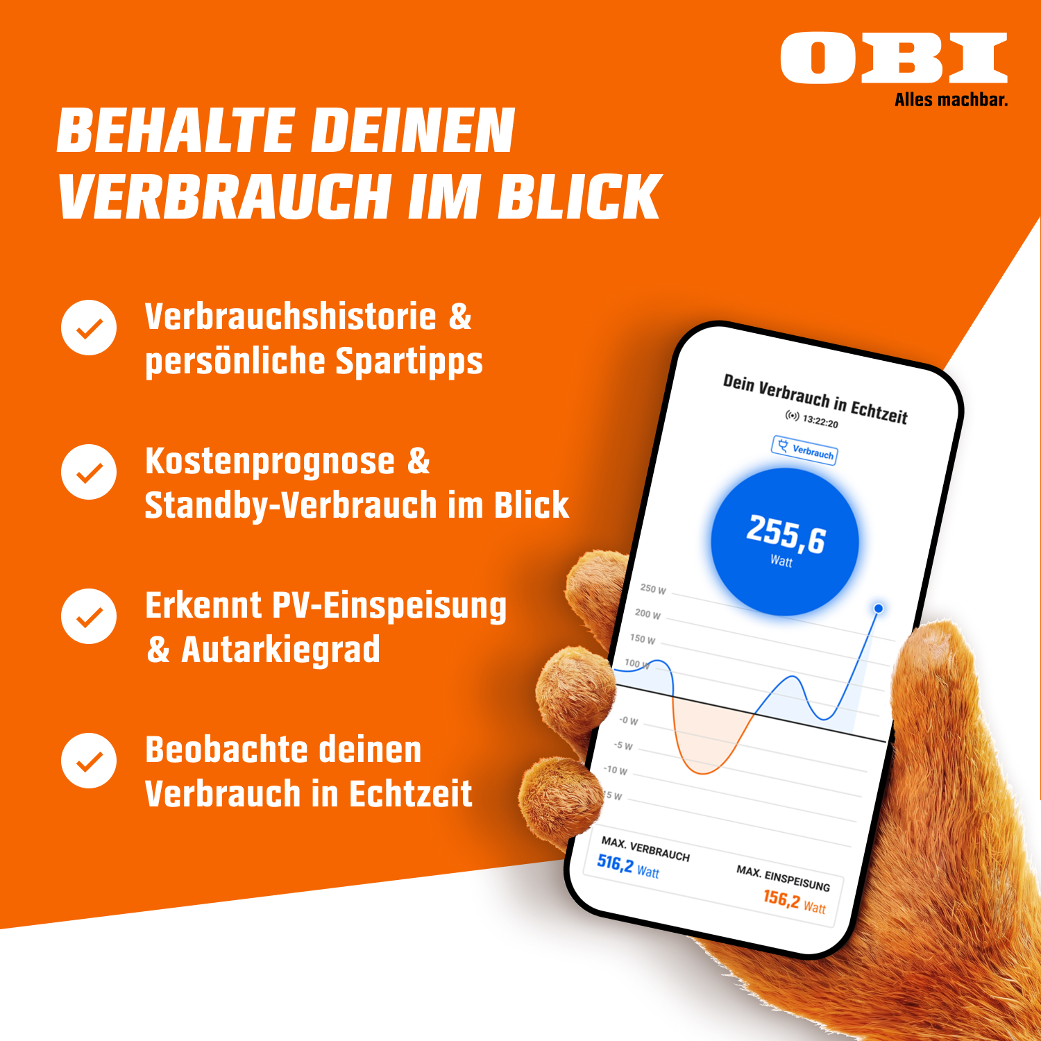 App zeigt Echtzeit-Verbrauch mit Diagramm und OBI-Logo.