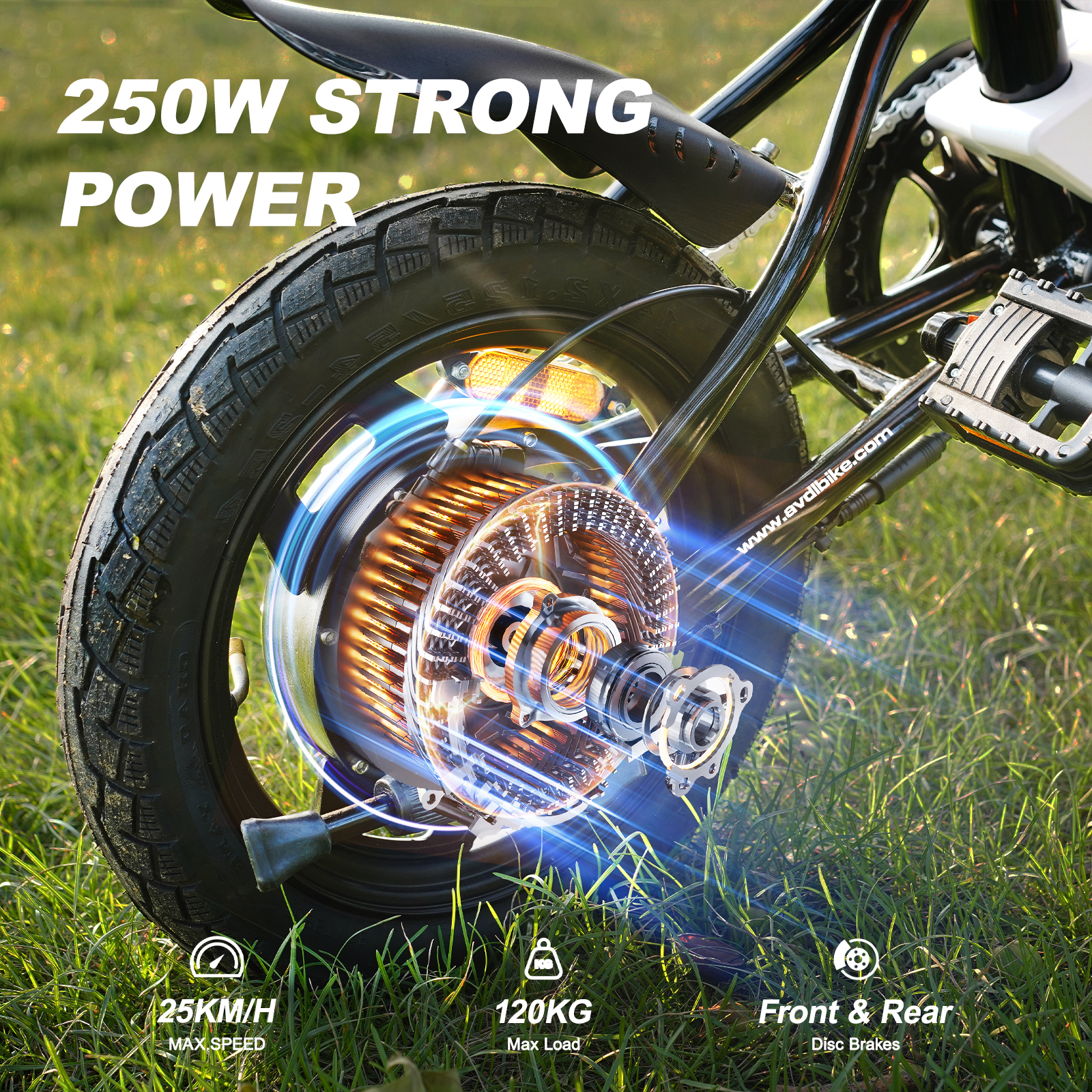 Dettaglio motore e-bike. Potenza 250W, velocità max 25km/h, carico max 120kg, freni a disco.