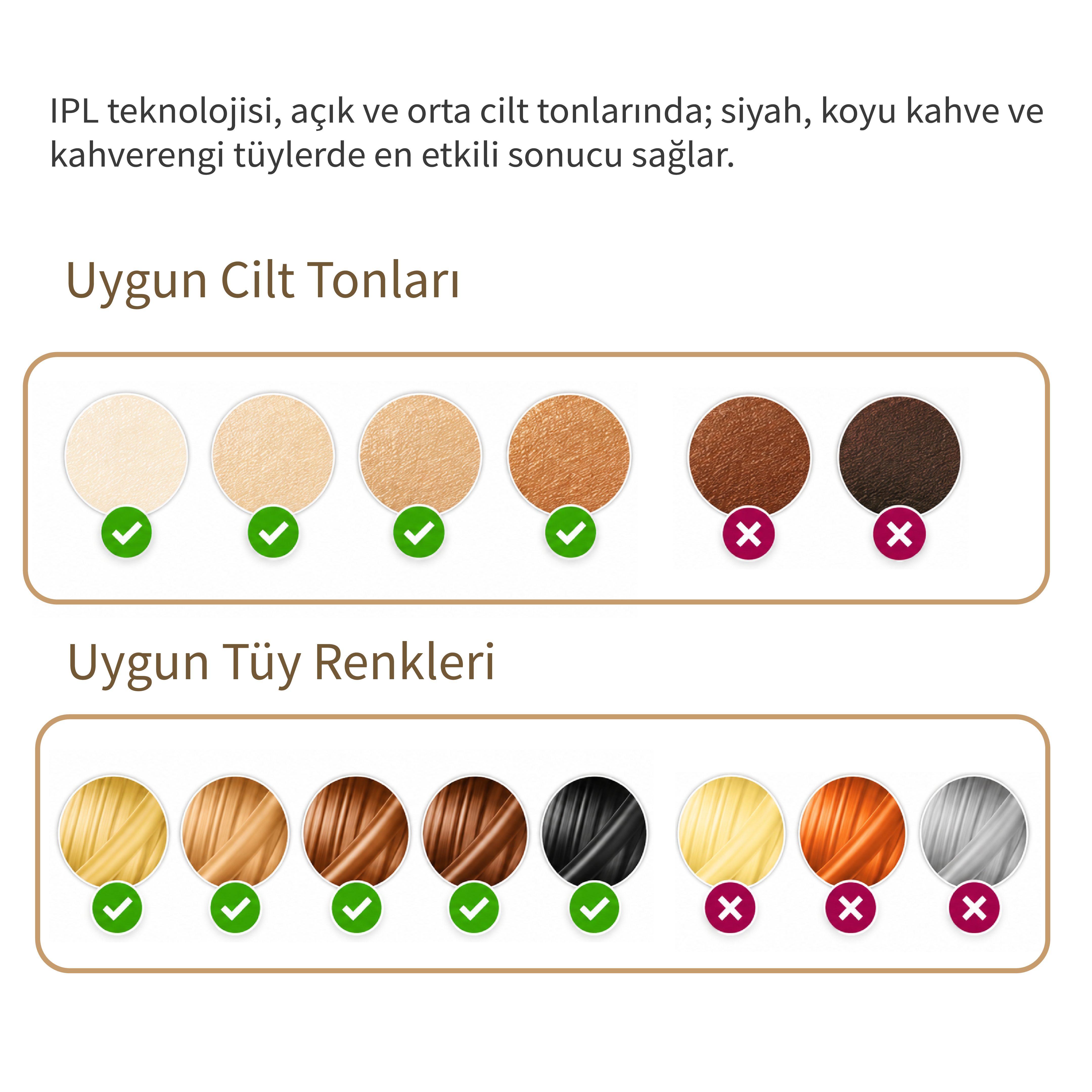 Cilt tonları ve tüy renkleri: Sarı, Açık kahve, Kahve, Siyah, Turuncu, Gri.