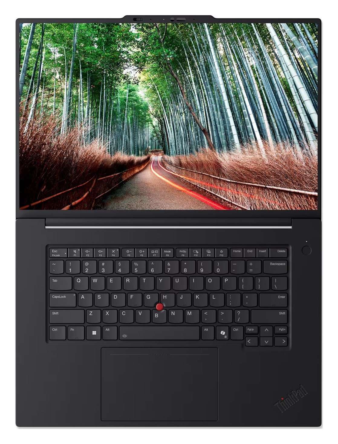 Un laptop aperto mostra un paesaggio di foresta di bambù con un sentiero e scie rosse.