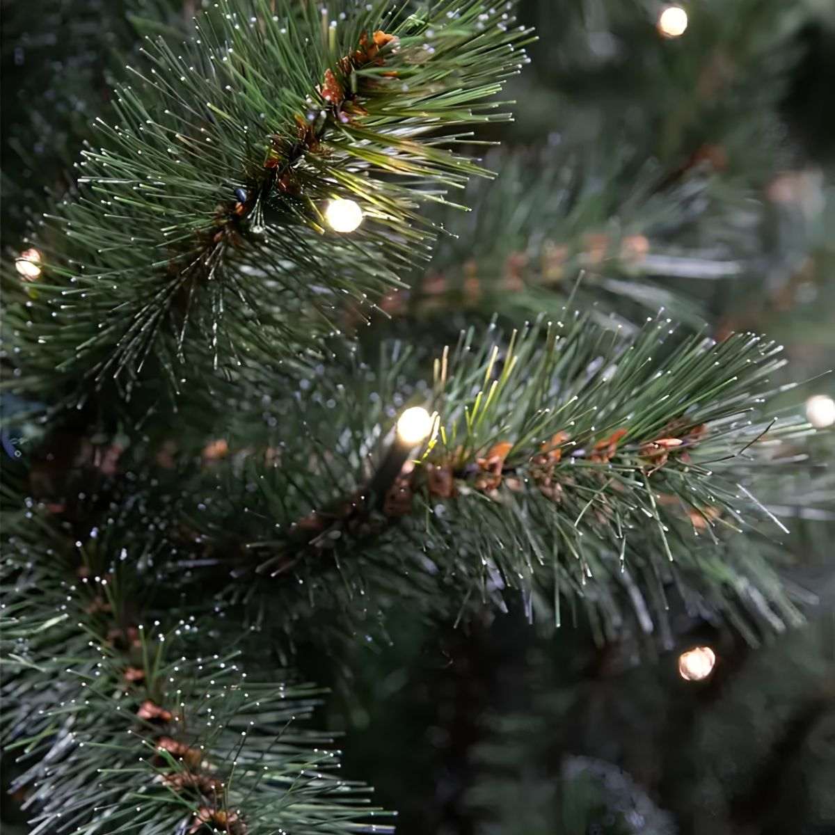 Green pine needles with white tips and small fairy lights.