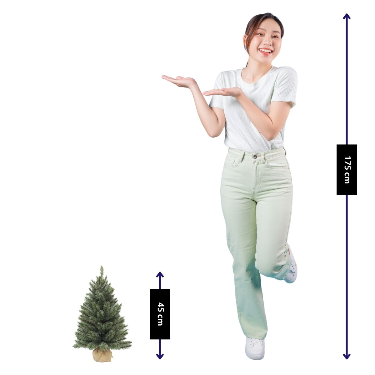 Femme à côté d'un arbre de 45cm. Elle mesure 175cm.