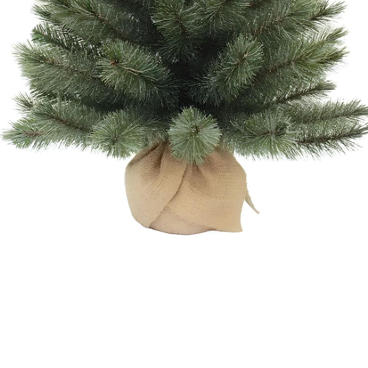 A small Christmas tree with a burlap sack base, isolated on white.