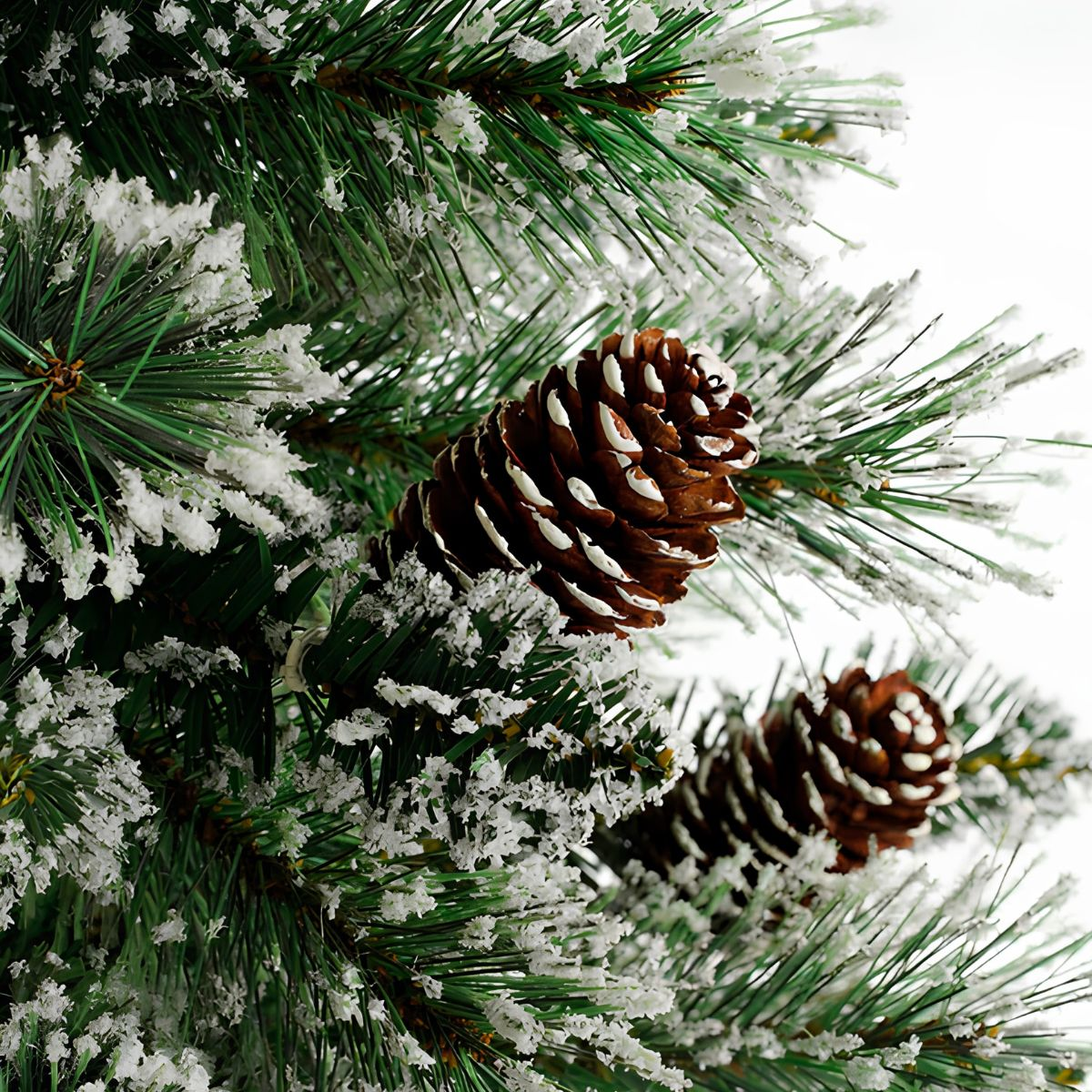 Close-up of pine needles covered in snow with brown pine cones.