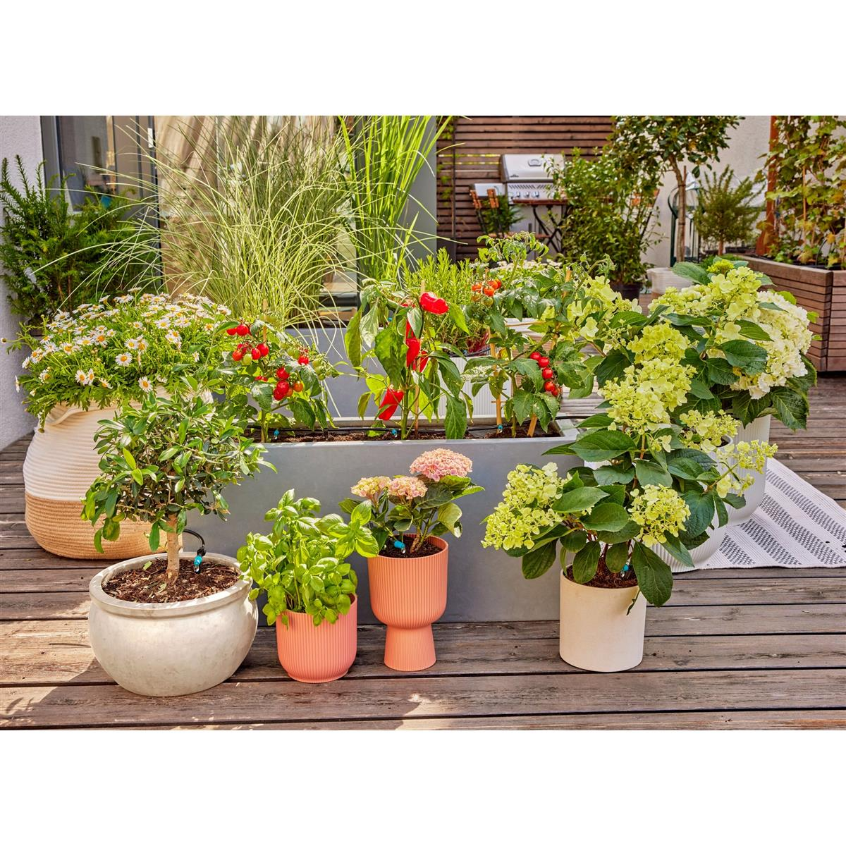 Un giardino moderno sul balcone con varie piante, tra cui pomodori, peperoni e fiori.
