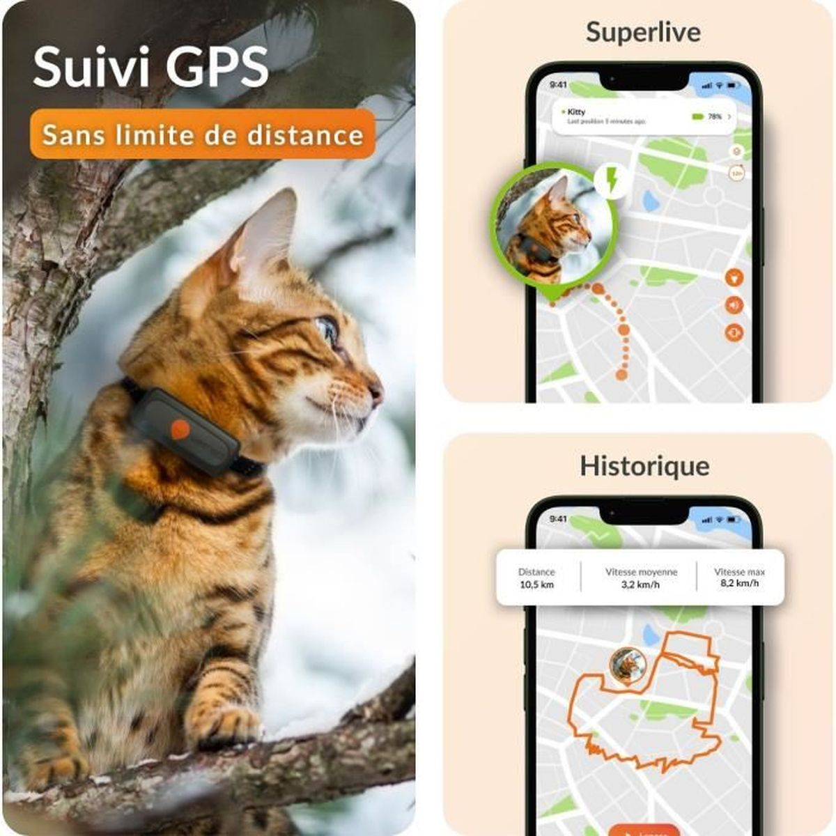 Un gatto bengala con collare GPS su un ramo. Telefoni con mappe accanto.