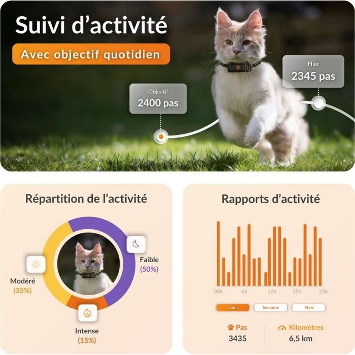 Un gatto con collare sull'erba, con riepilogo attività e grafici.