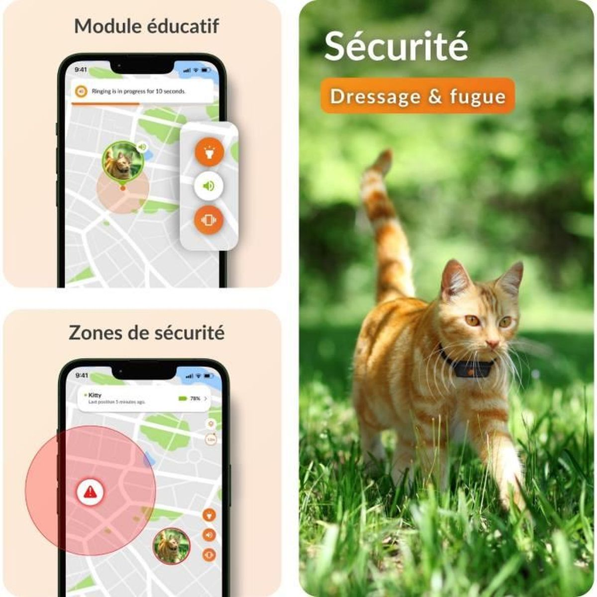 Gatto soriano arancione con collare cammina sull'erba. Schermate del telefono mostrano una mappa.