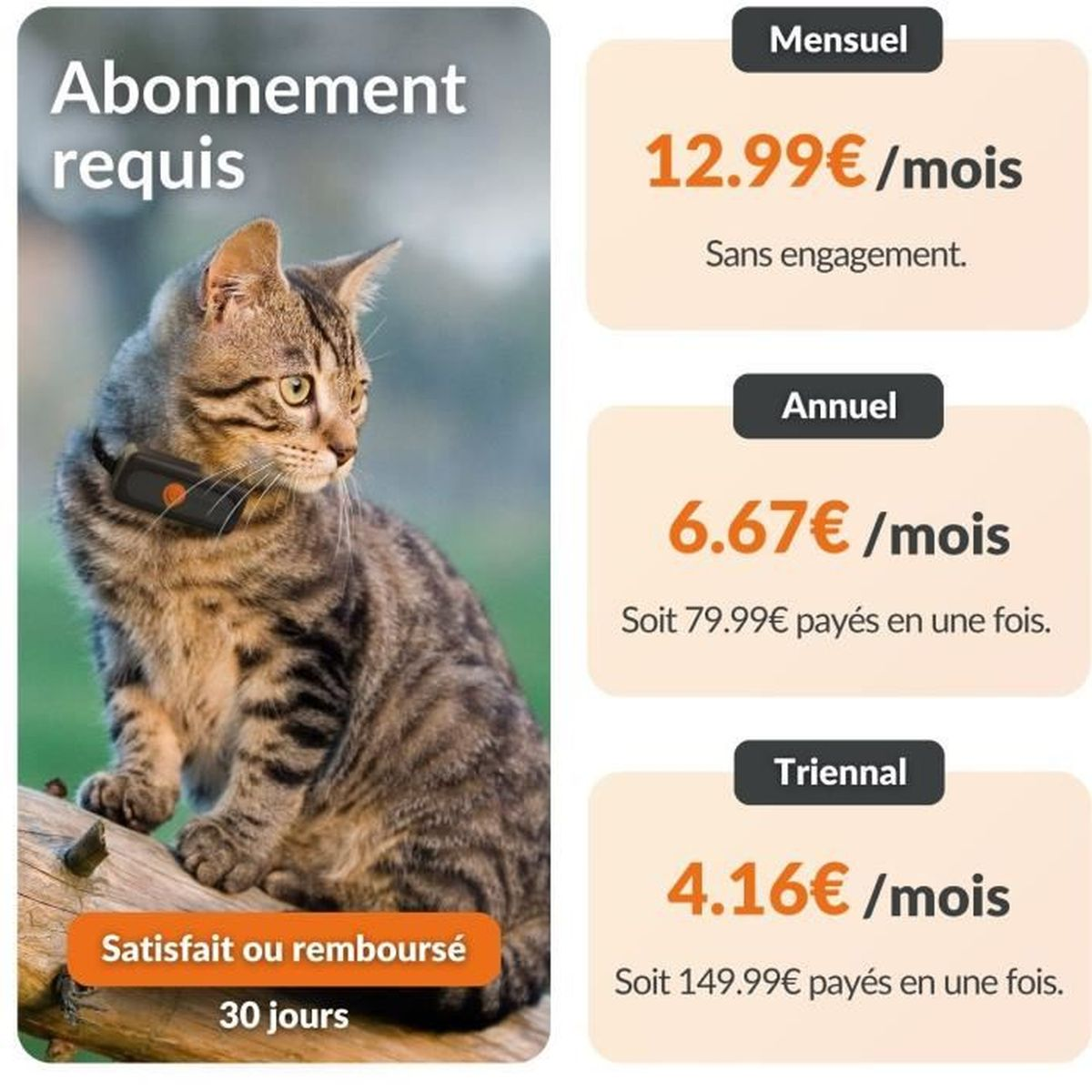 Gatto con collare su un tronco. Prezzi dell'abbonamento accanto.