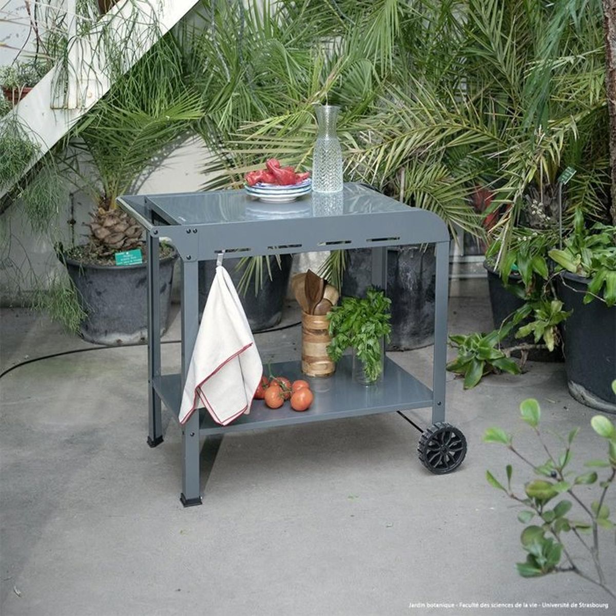 Ein grauer Servierwagen mit Tomaten, Kräutern und Wasserkanne in einem Gewächshaus.