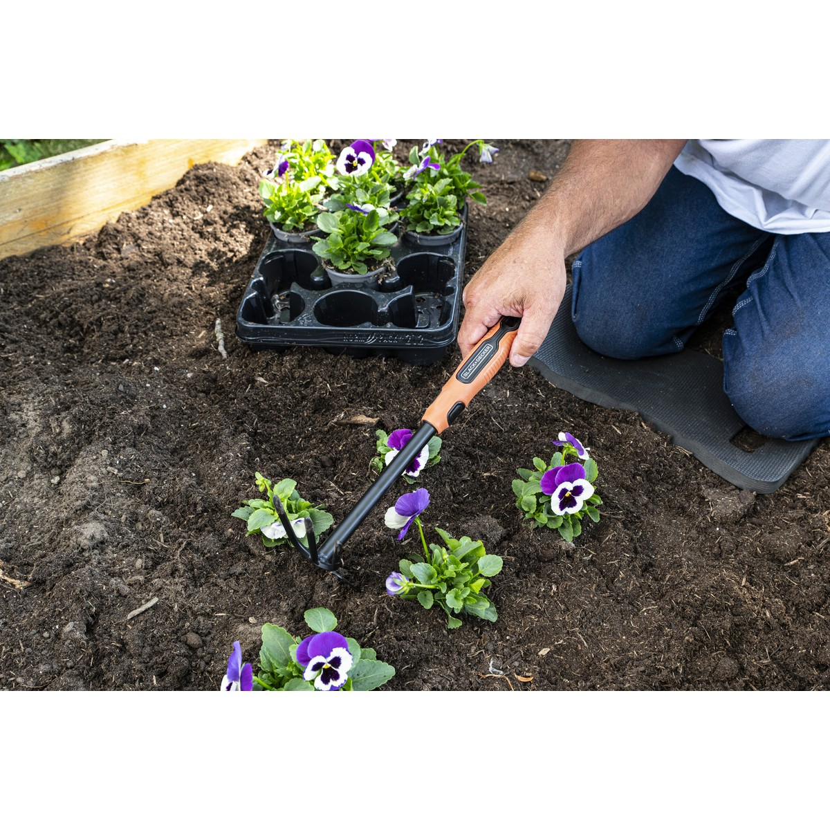 A person plants purple pansies in moist soil using a hand cultivator.