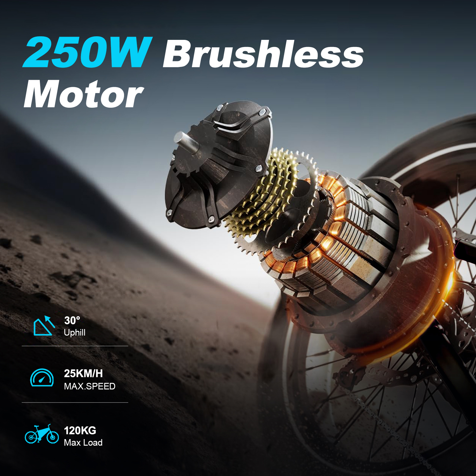 Detailansicht eines E-Bike-Motors mit 250W, 30° Steigung, 25 km/h Max-Speed, 120kg max. Last.
