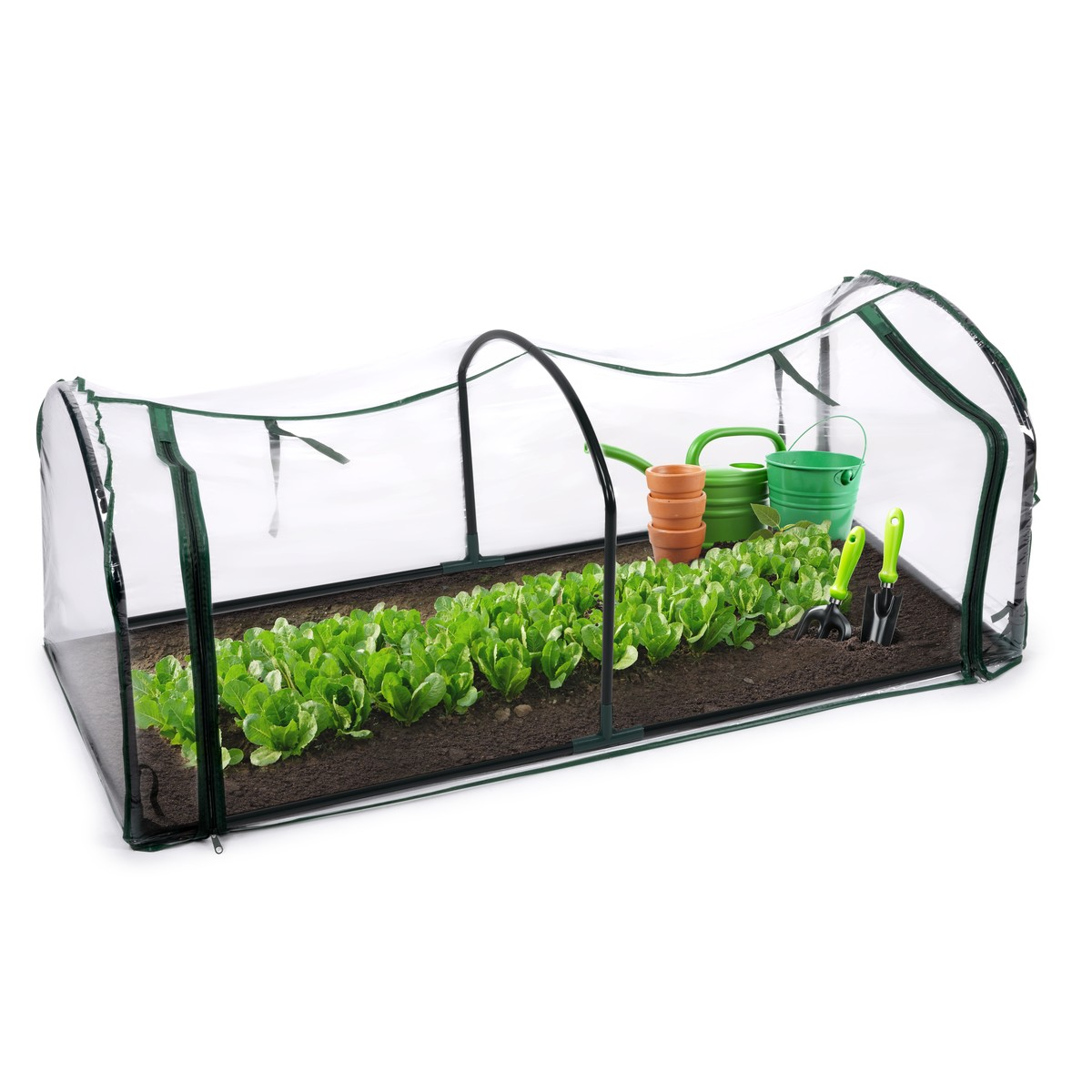 A mini greenhouse with rows of lettuce, gardening tools, and watering cans.