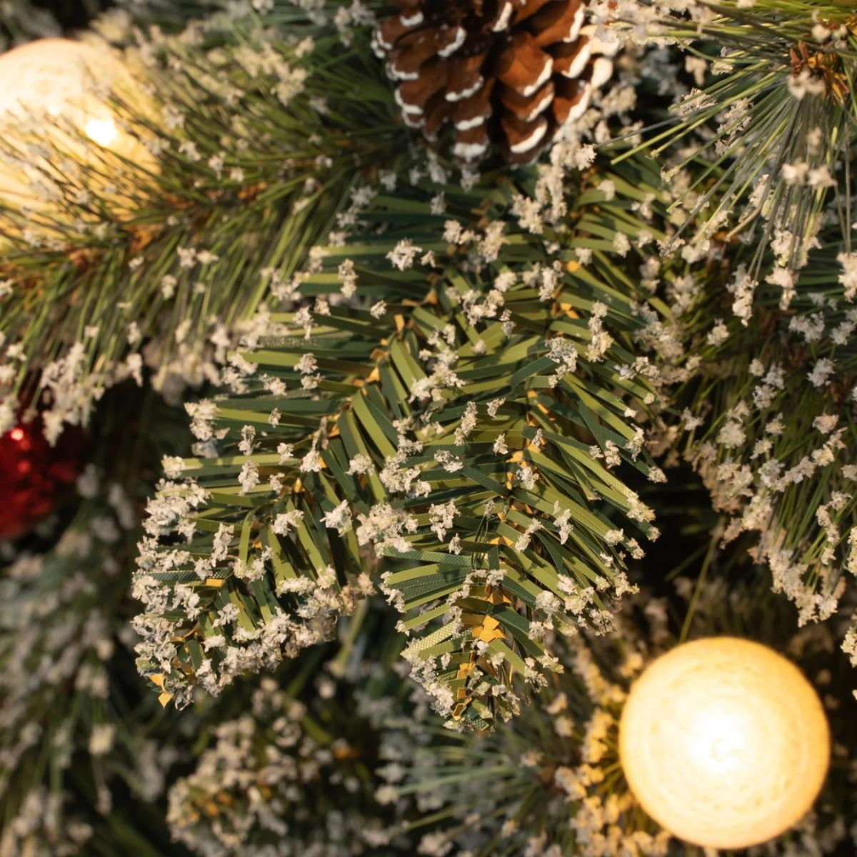 Close-up van een kerstboom met dennenappel, lichtslinger en rode kerstbal.