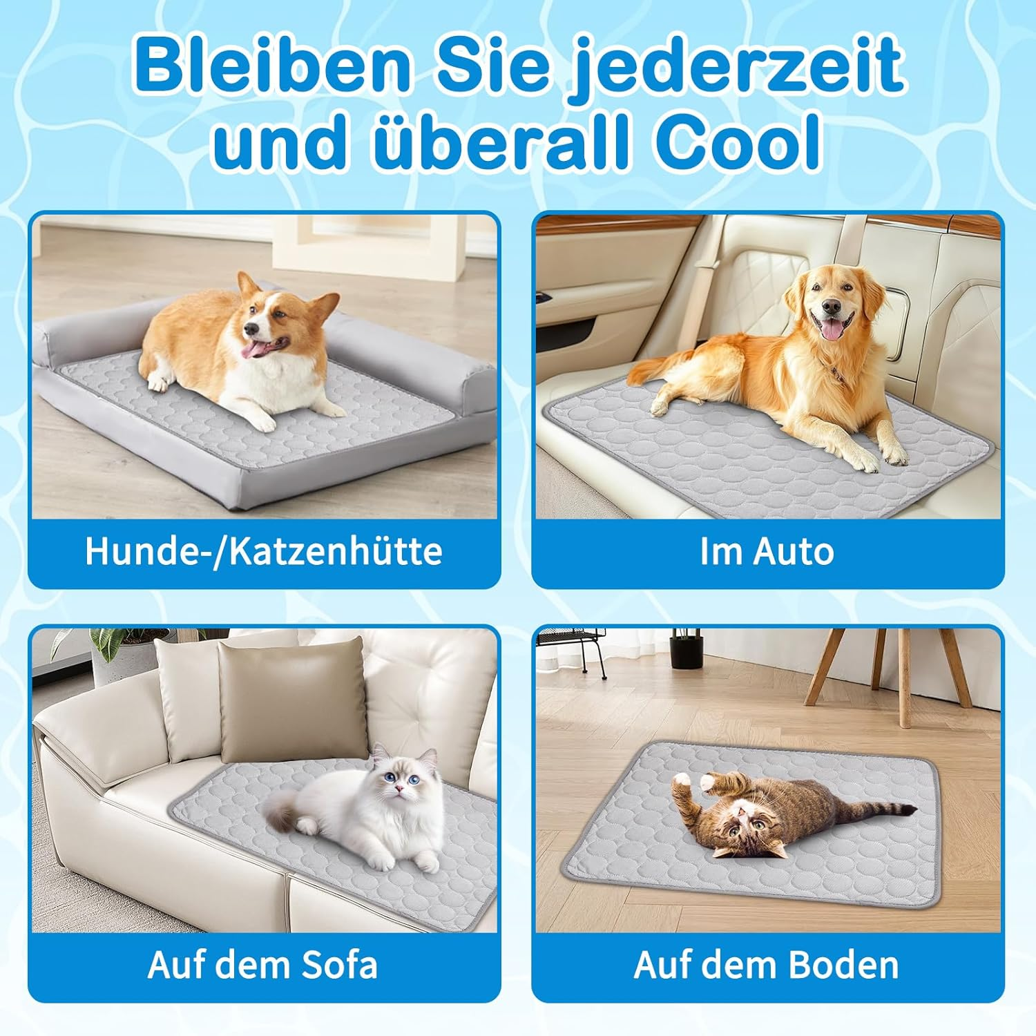 Vier Szenen mit Haustieren auf Kühlmatten: Hund im Körbchen, Hund im Auto, Katze auf Sofa, Katze auf Boden.