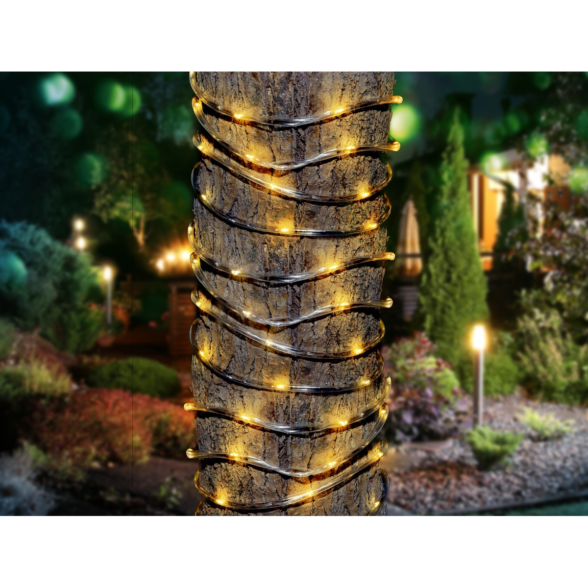 String lights wrapped around tree trunk in a garden at night with lights.