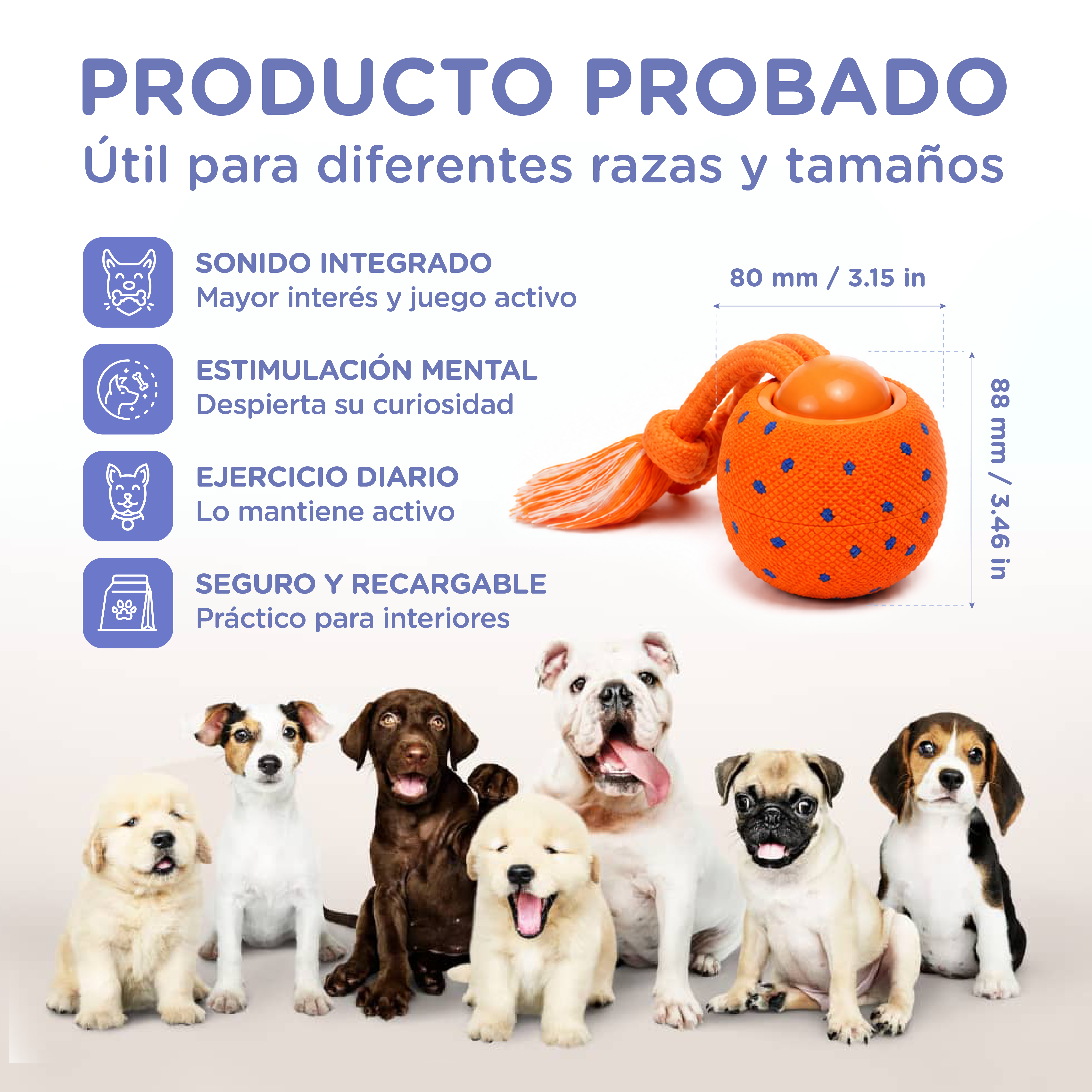 Siete perros sentados uno al lado del otro, con una pelota de juguete naranja encima.