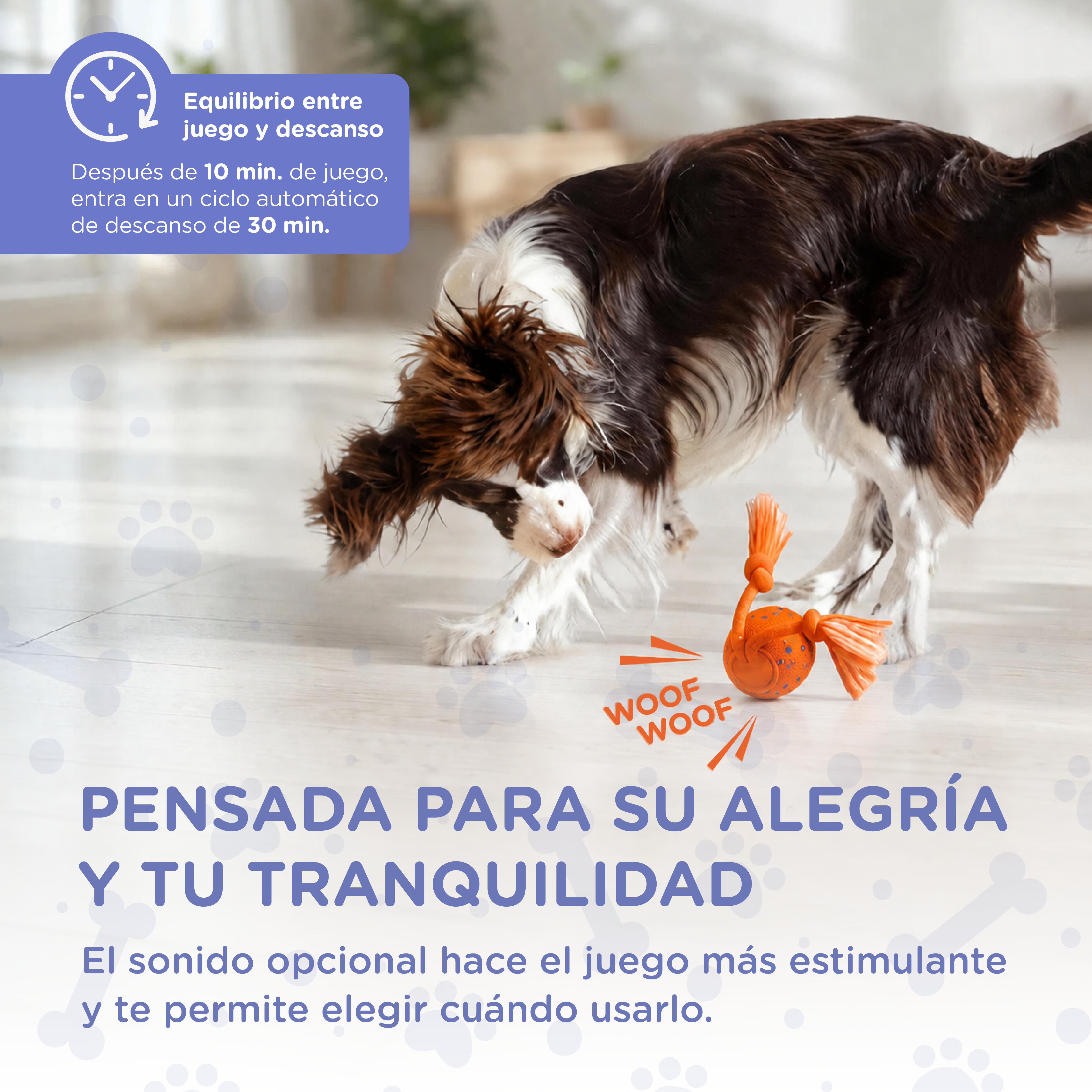 Un perro marrón y blanco juega con un juguete naranja. Texto sobre tiempo de juego.