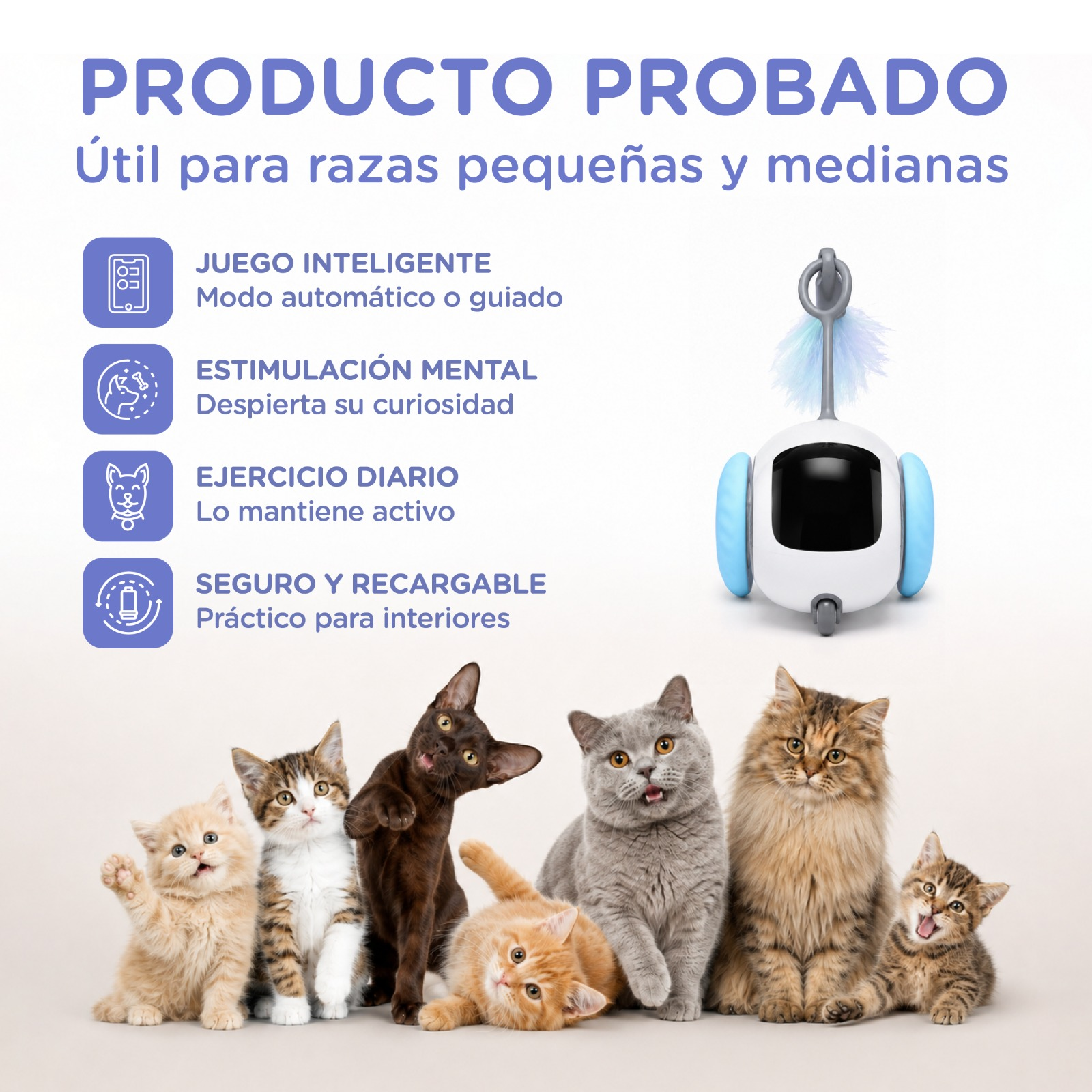 Un robot blanco con ruedas azules y una pluma juega con gatos.