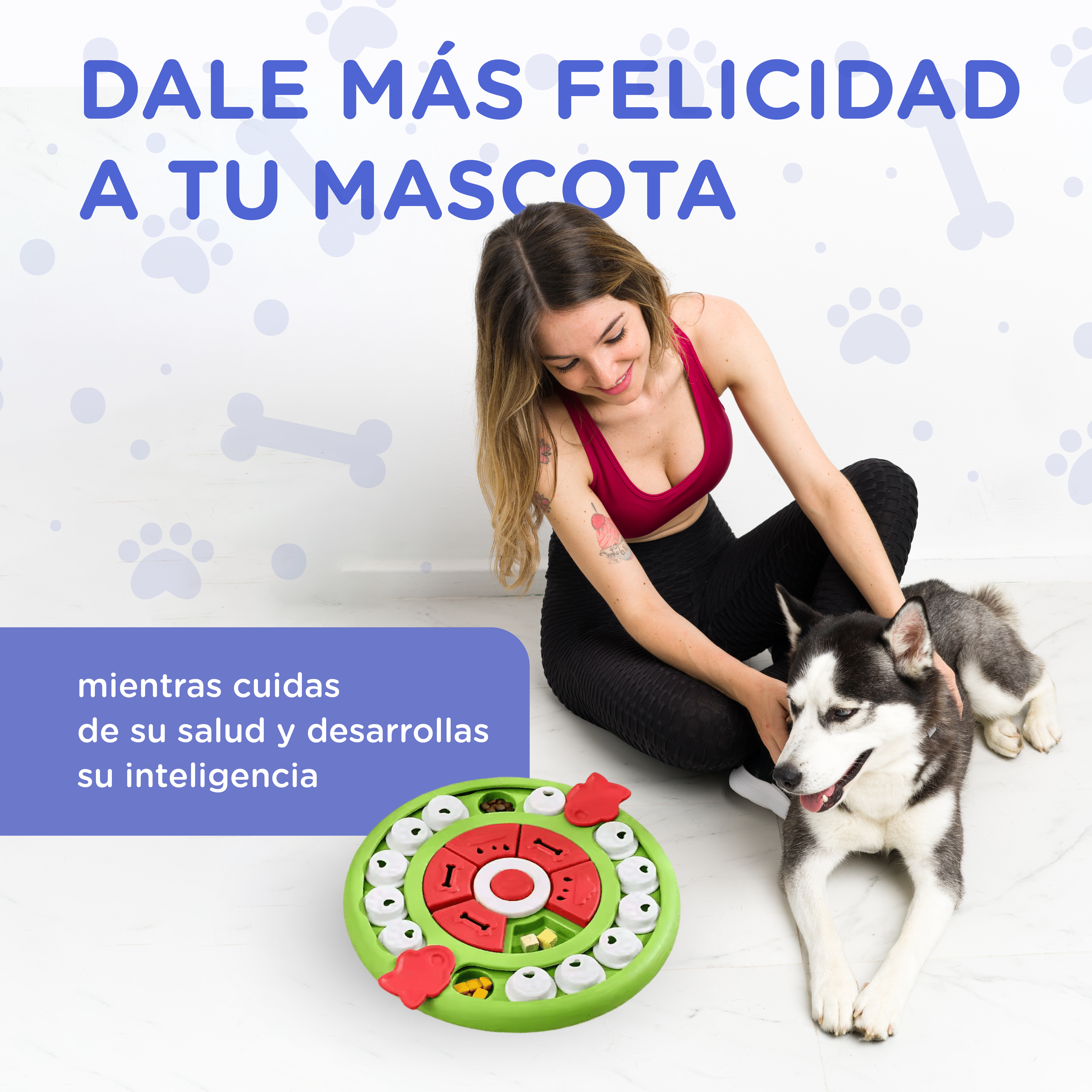 Una mujer juega con su perro husky y un juguete interactivo de premios.